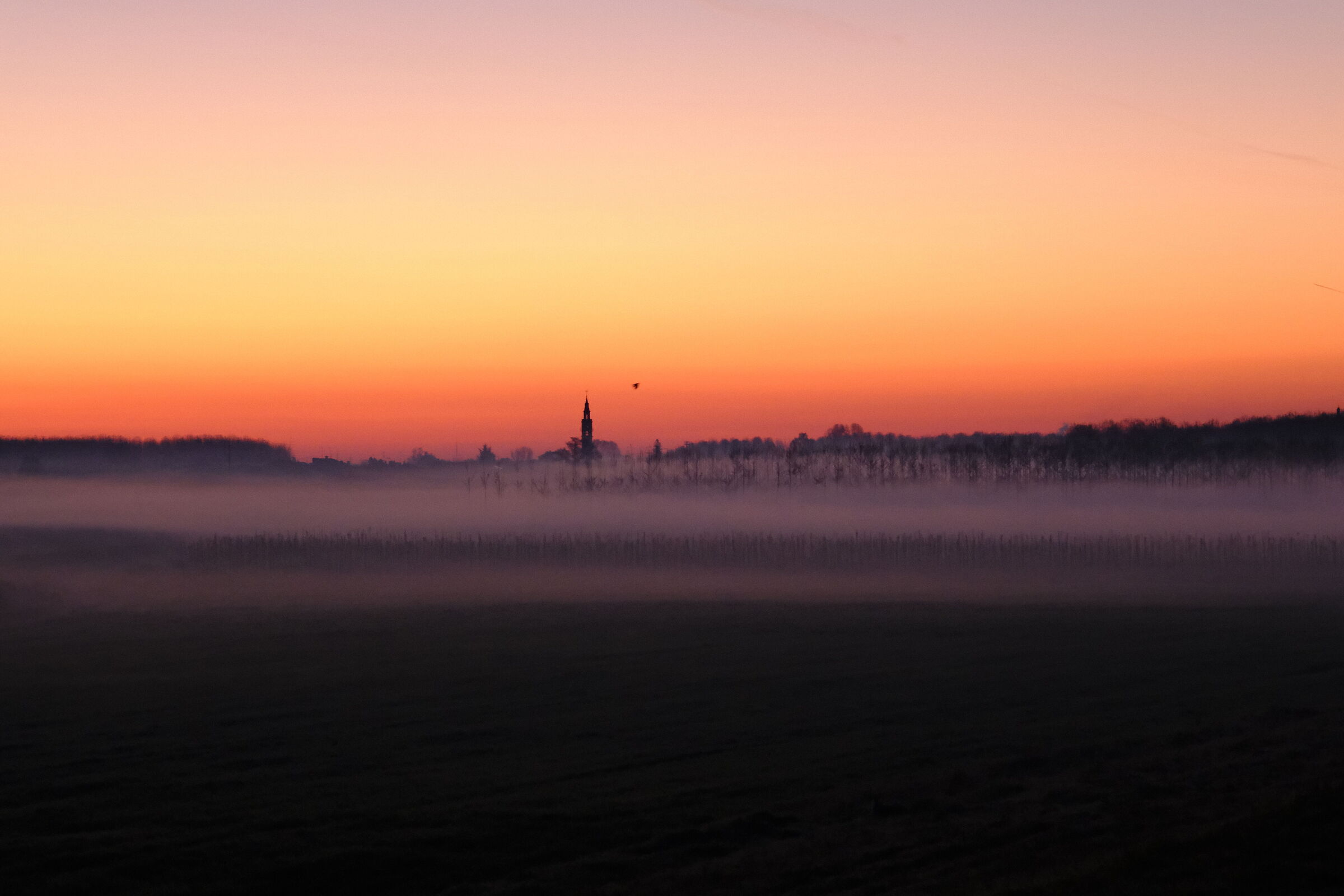 Waiting for the new day