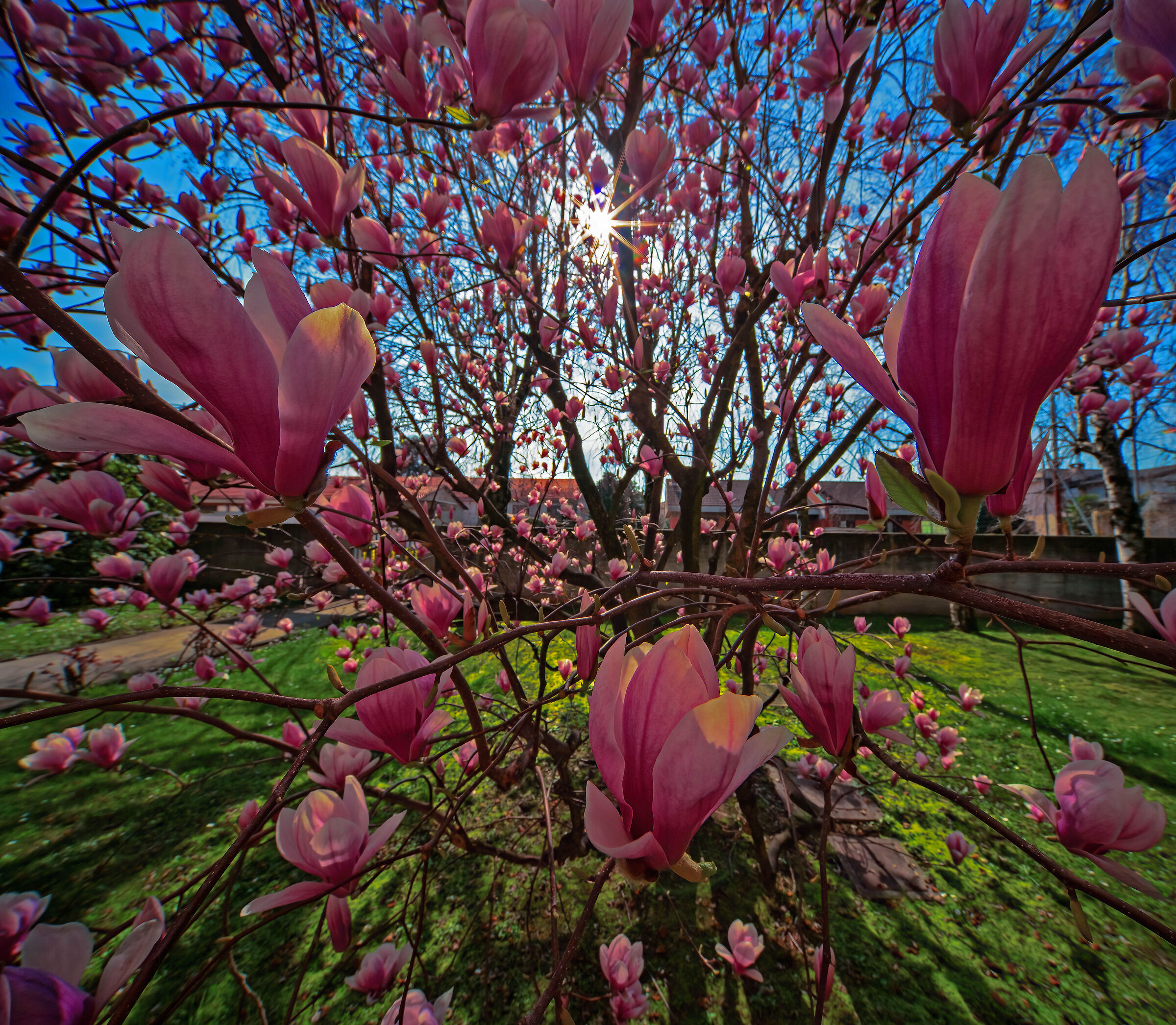 In Praise of Spring