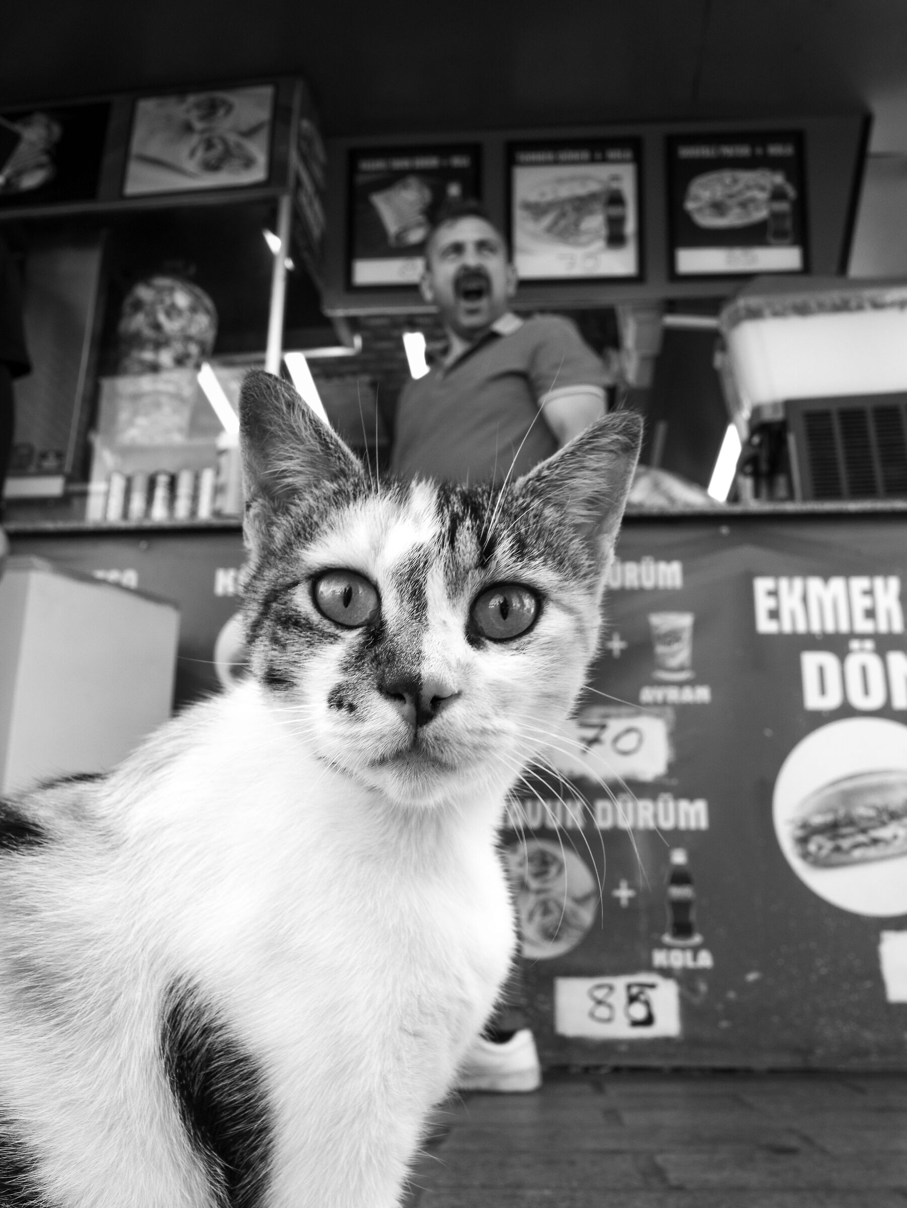 Ist 01 In compagnia del gatto