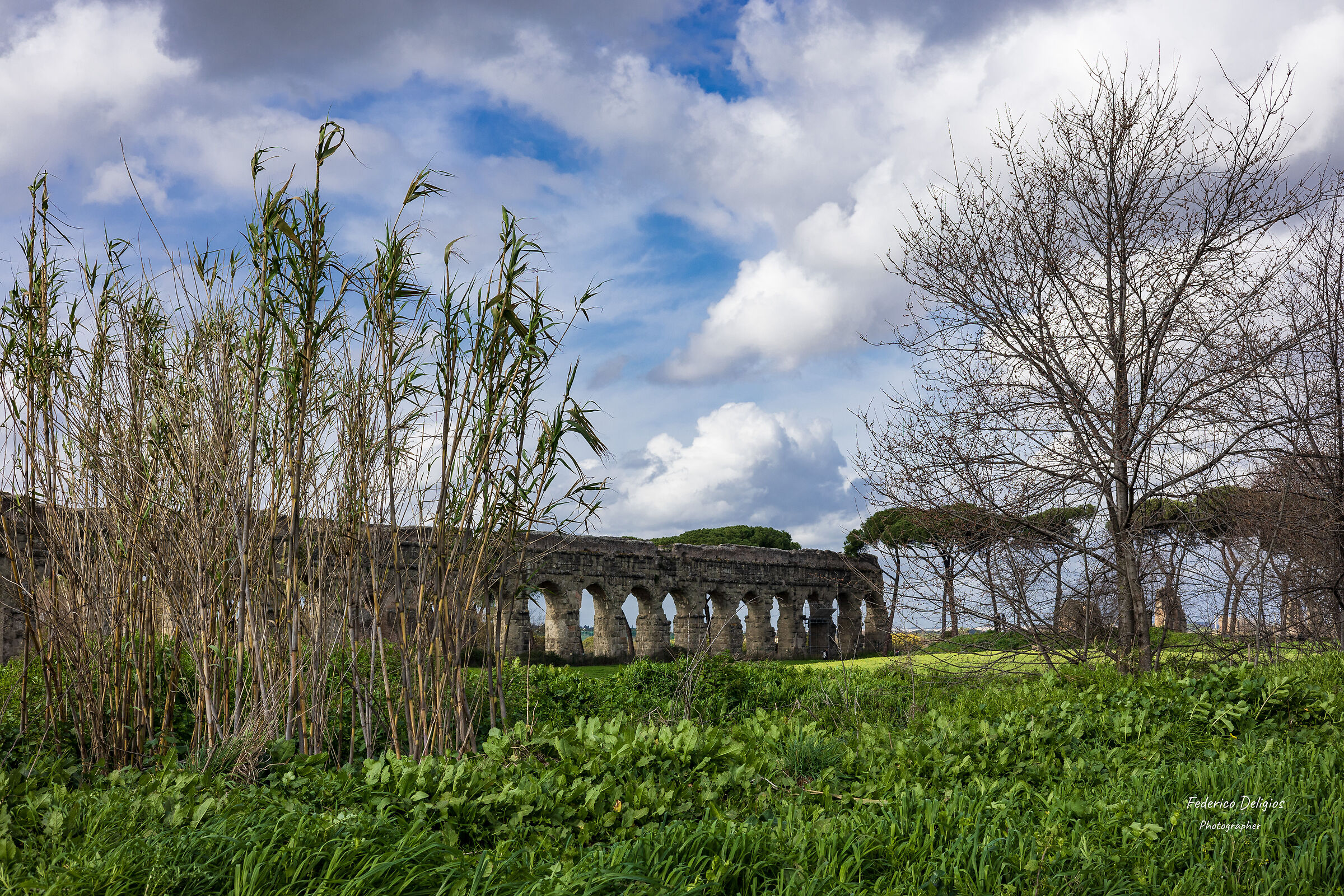 Parco degli Acquedotti, marzo 2024