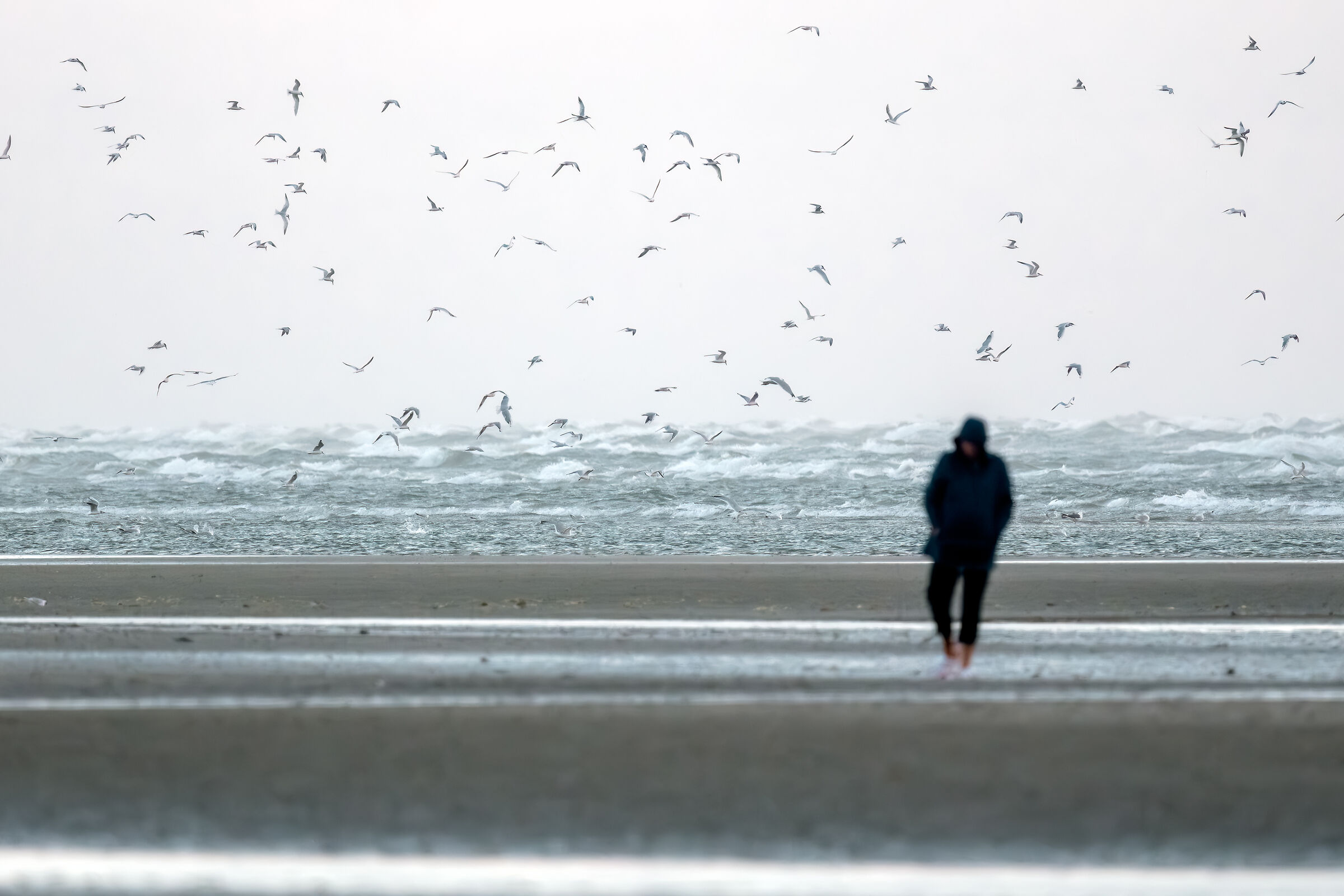 Troppi pensieri per la testa