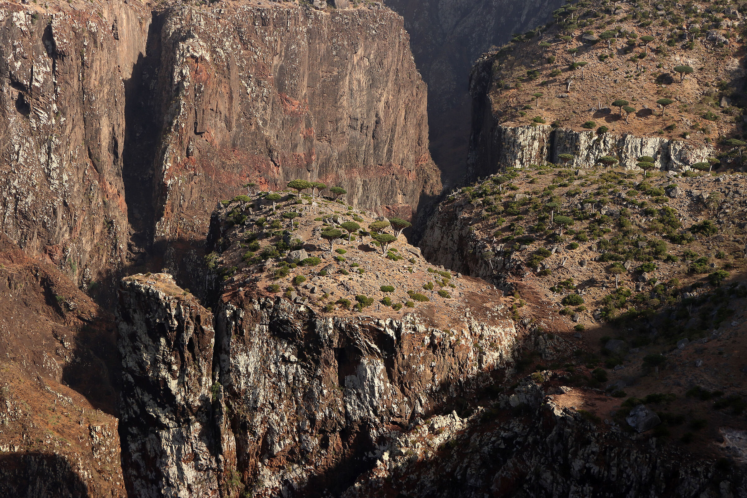 S O C O T R A - canyon Wadi Dirhur