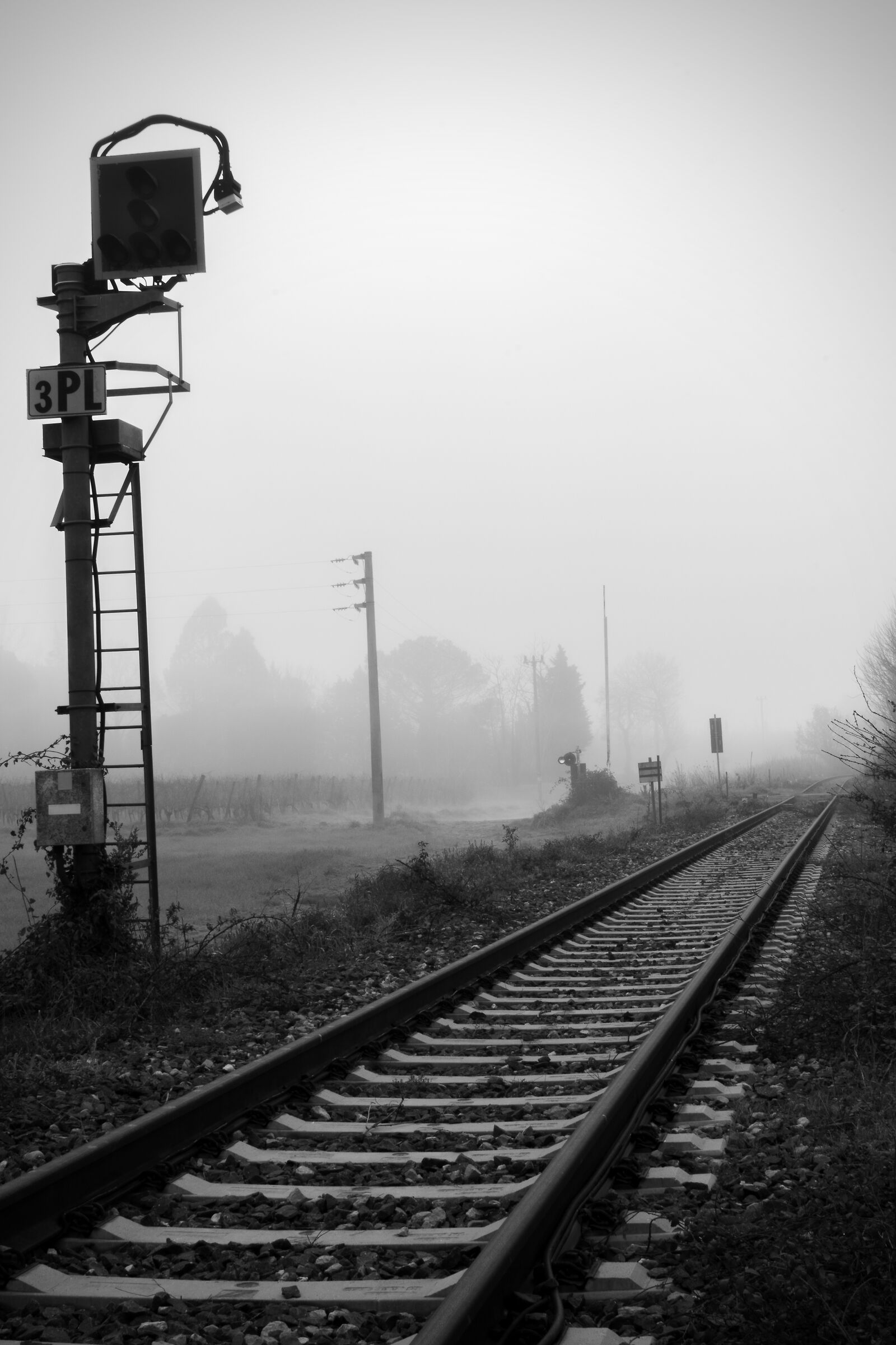 Non luogo al mattino con nebbia