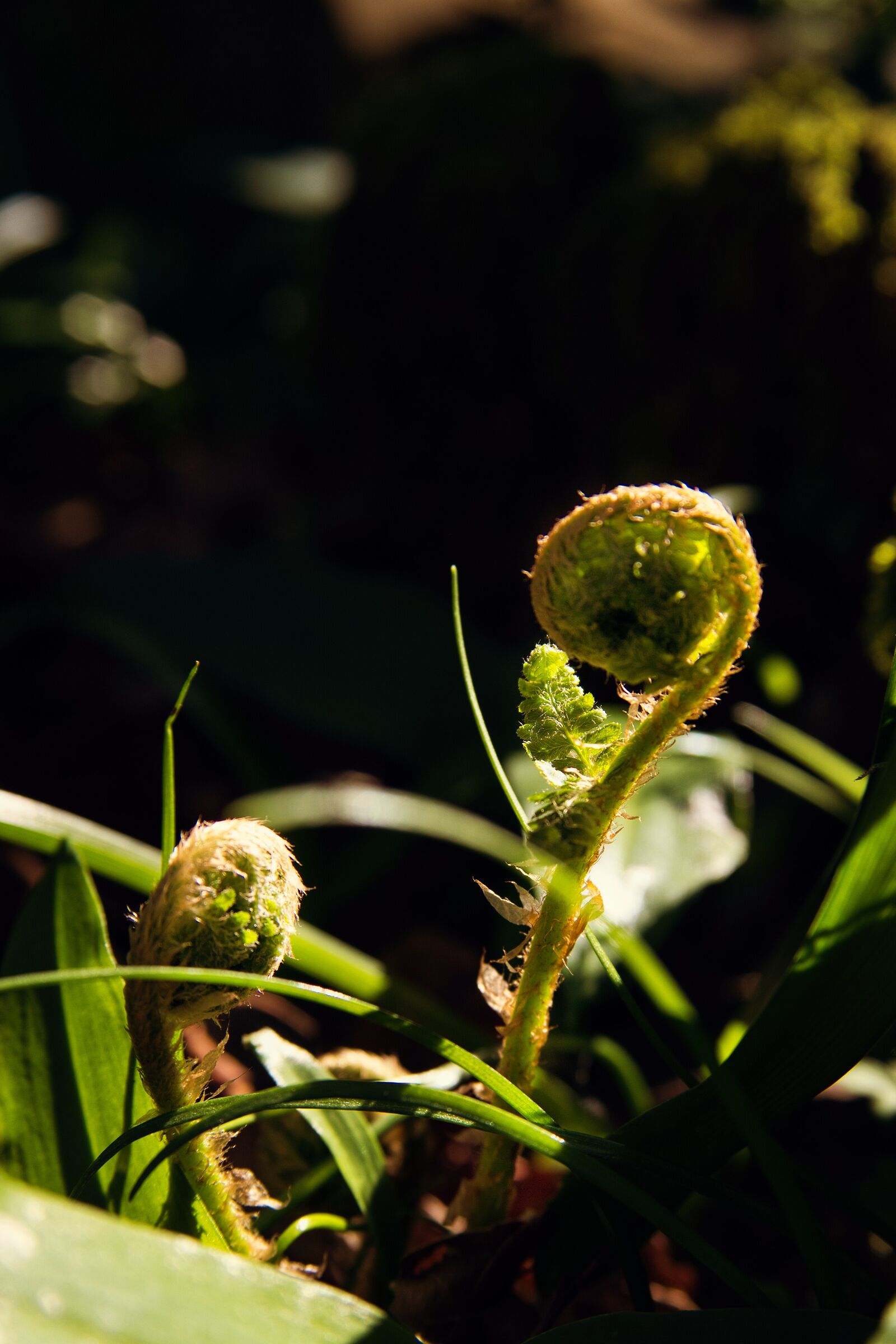 Untitled Photo