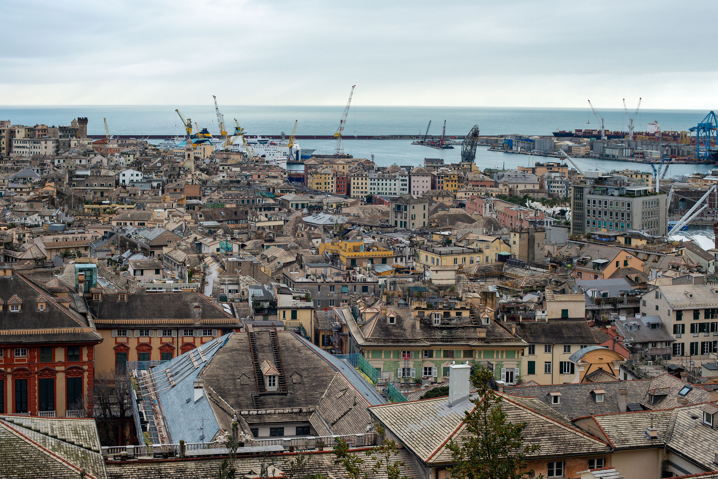 Genoa, the port 3