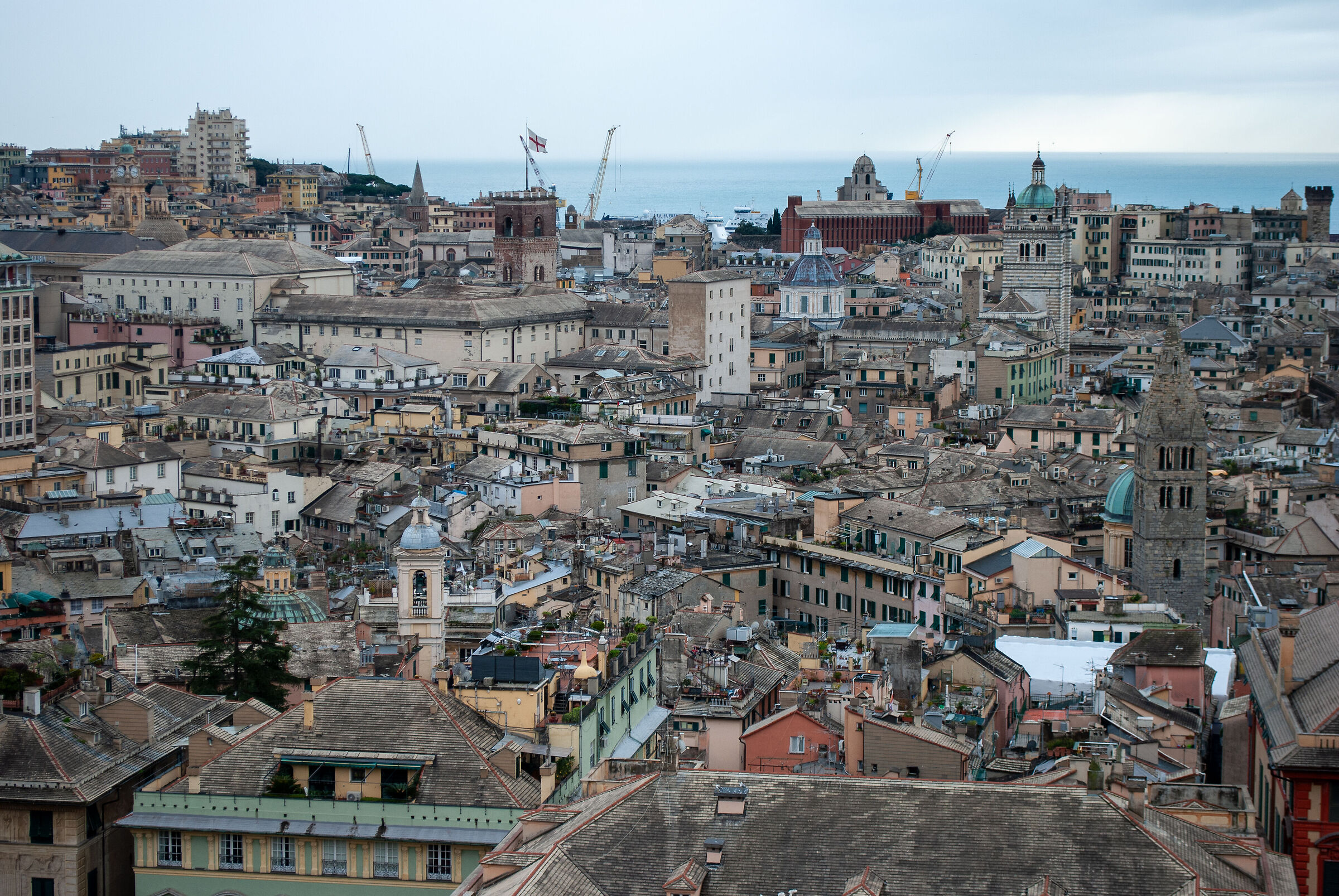 Genoa, the rooftops of the city 1 from Castelletto