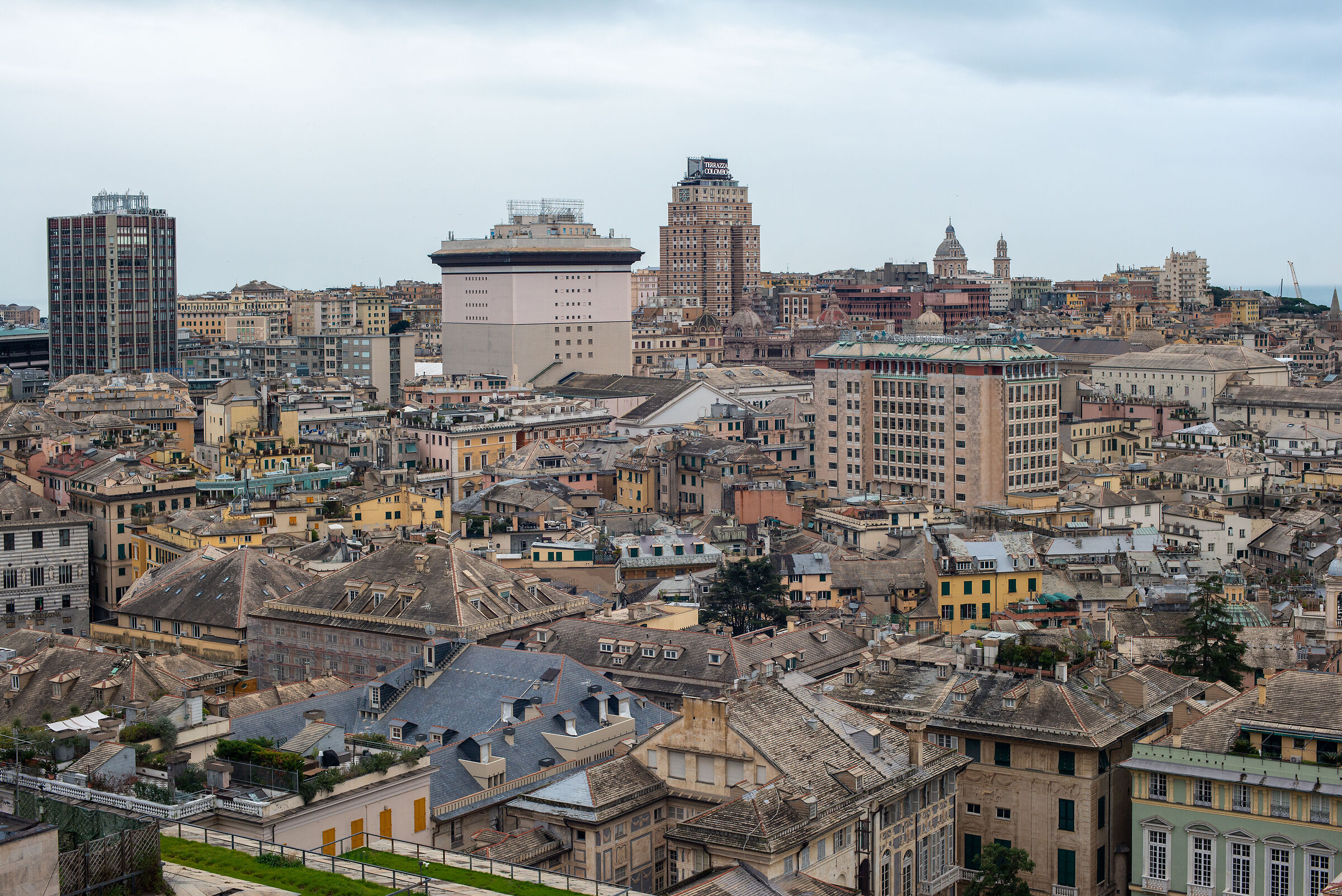Genoa, the rooftops of the city 2 from Castelletto