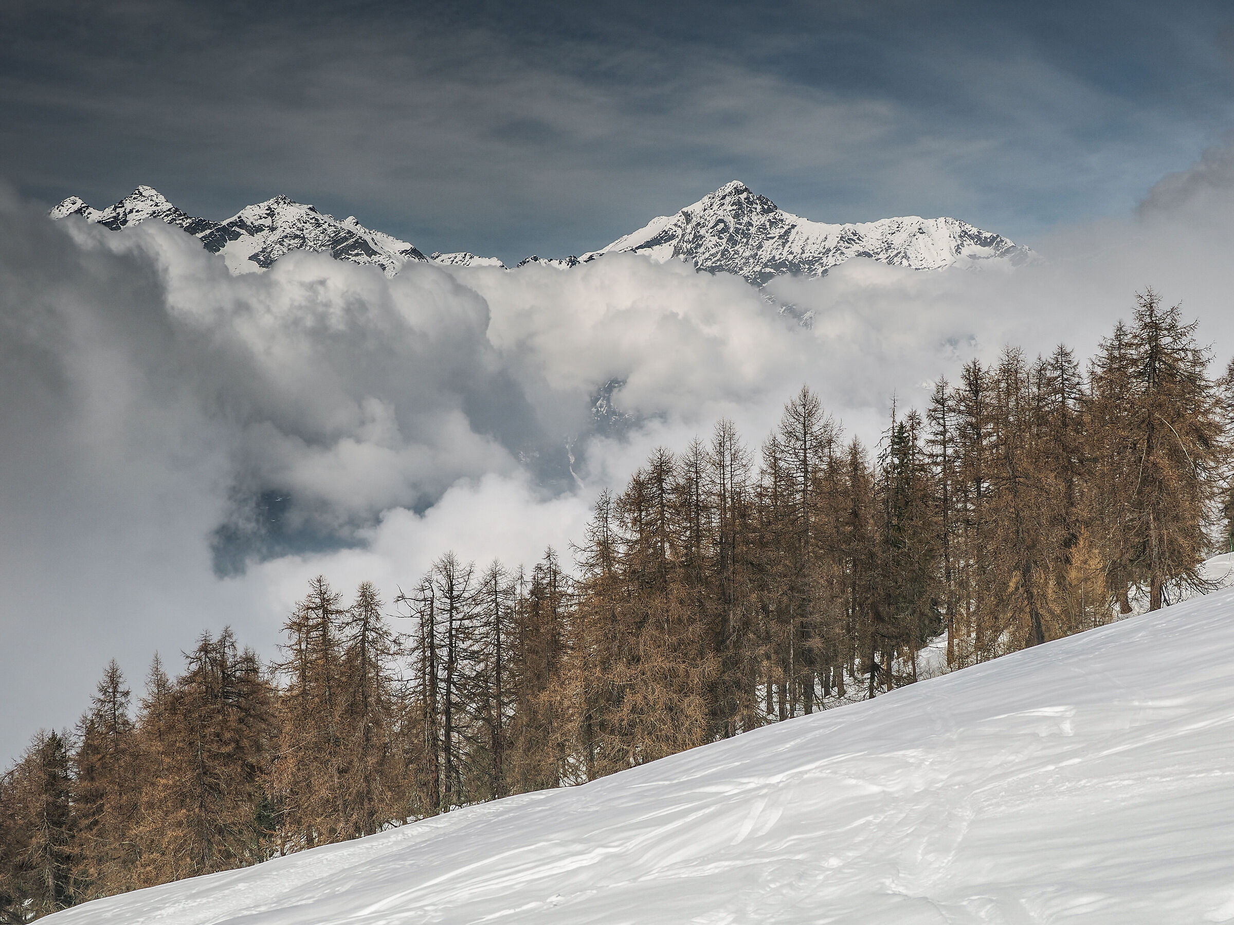 Aosta Valley Coumarial
