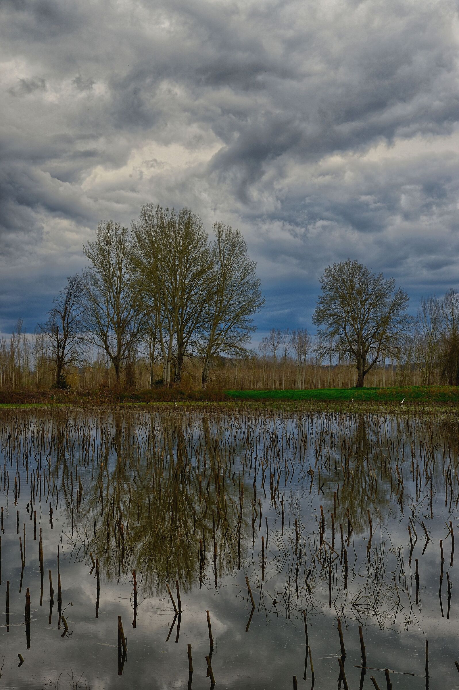 Nature mirrors itself