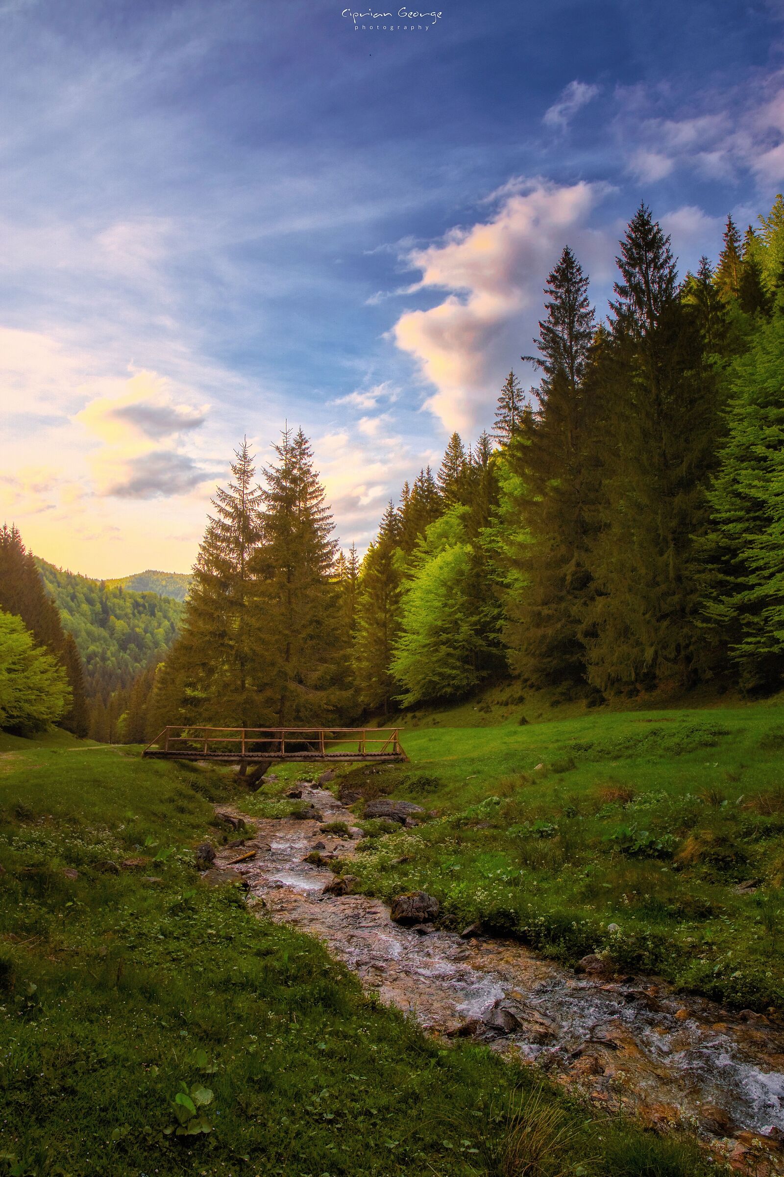 Tramonto primaverile