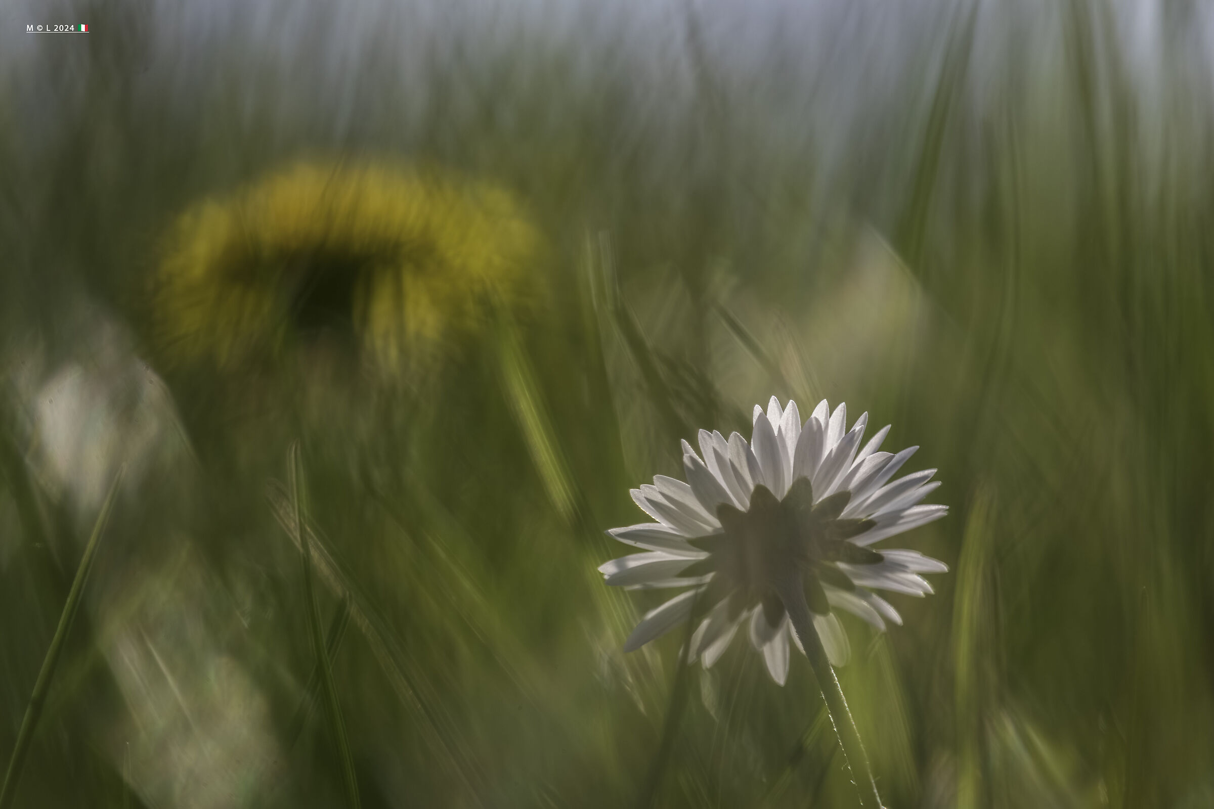 Untitled Photo