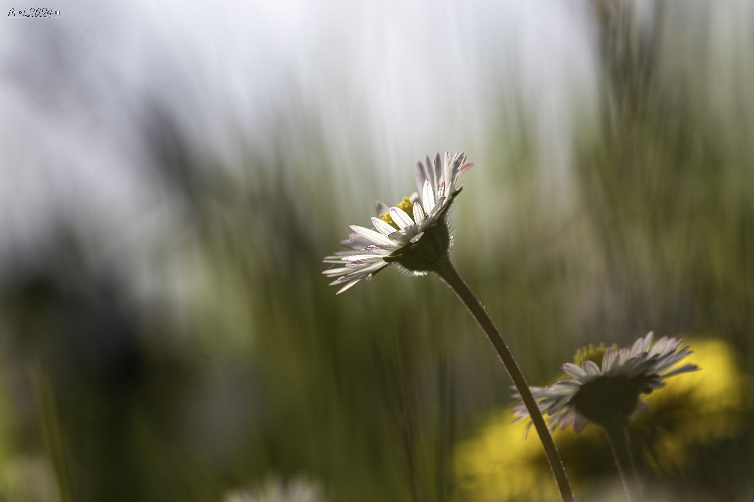 Untitled Photo