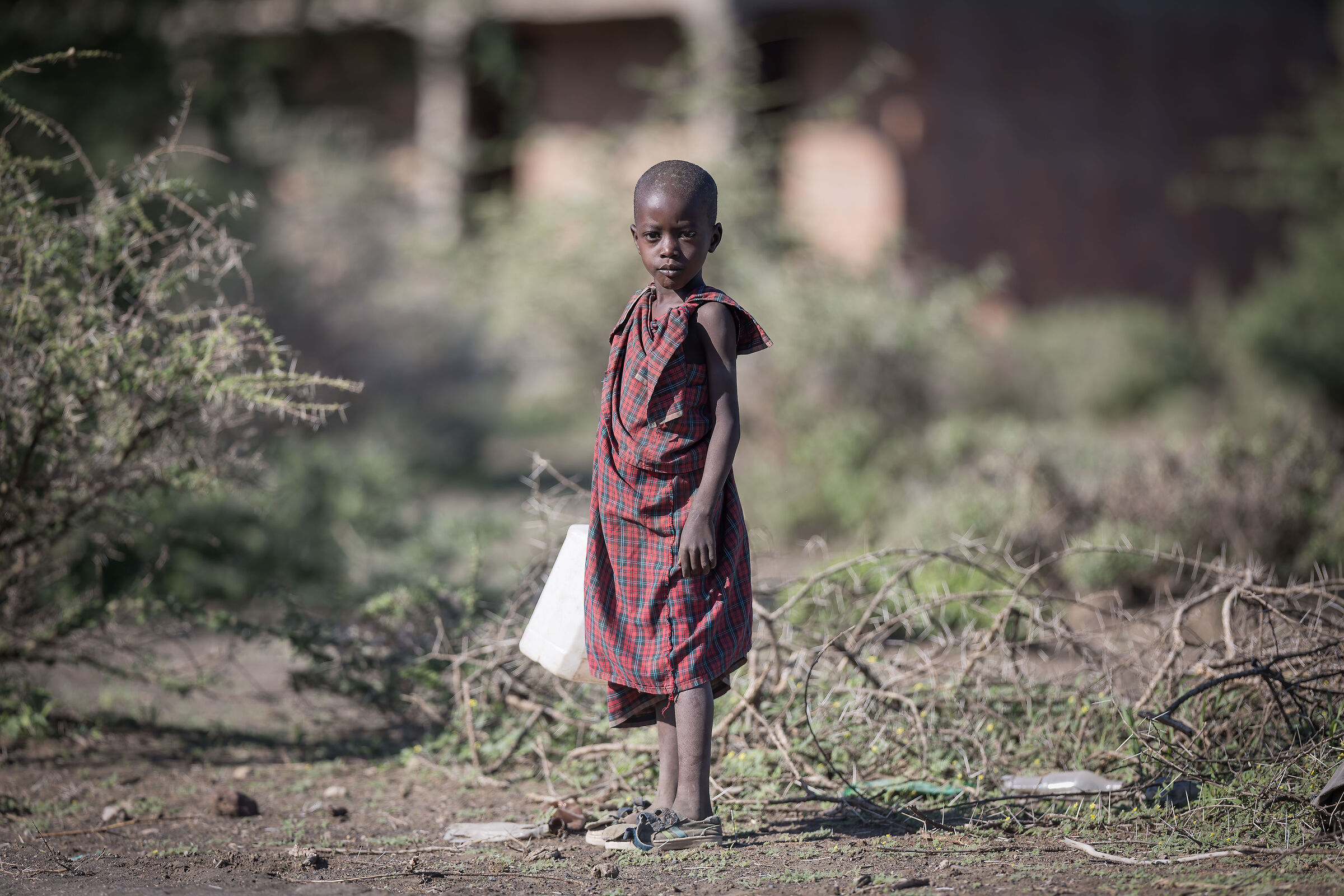 Young Maasai