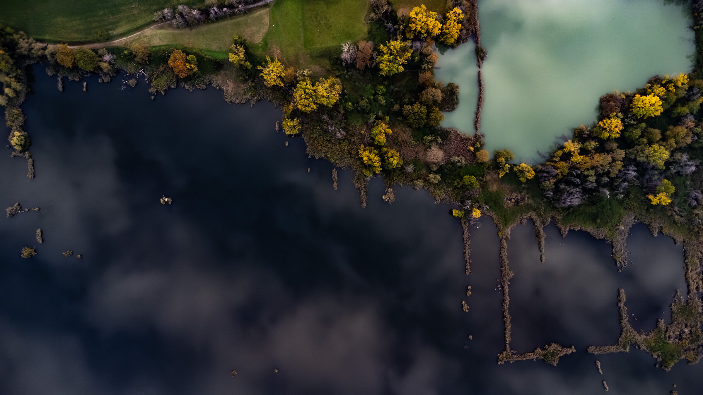 Unusual framing