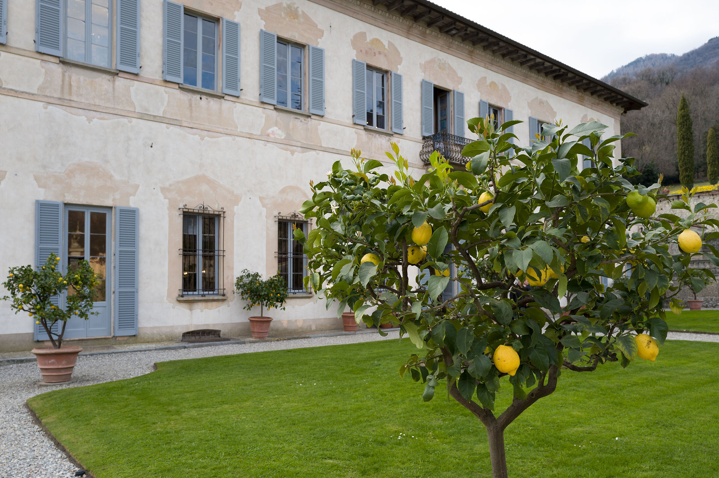 Villa Della Porta Bozzolo