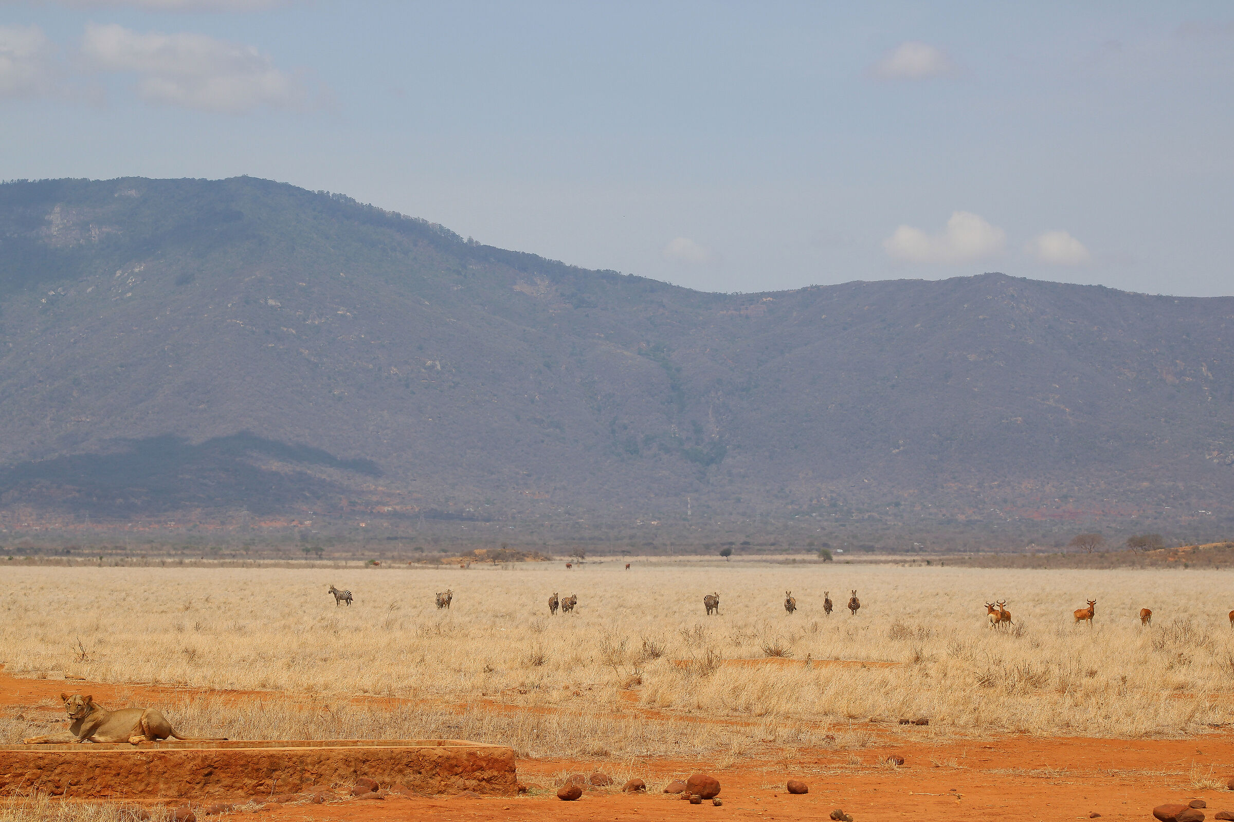 Kenyan Landscapes