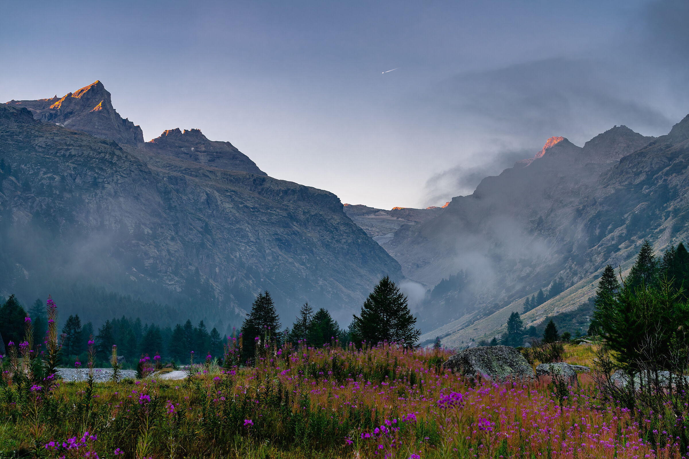 The awakening of the Valley