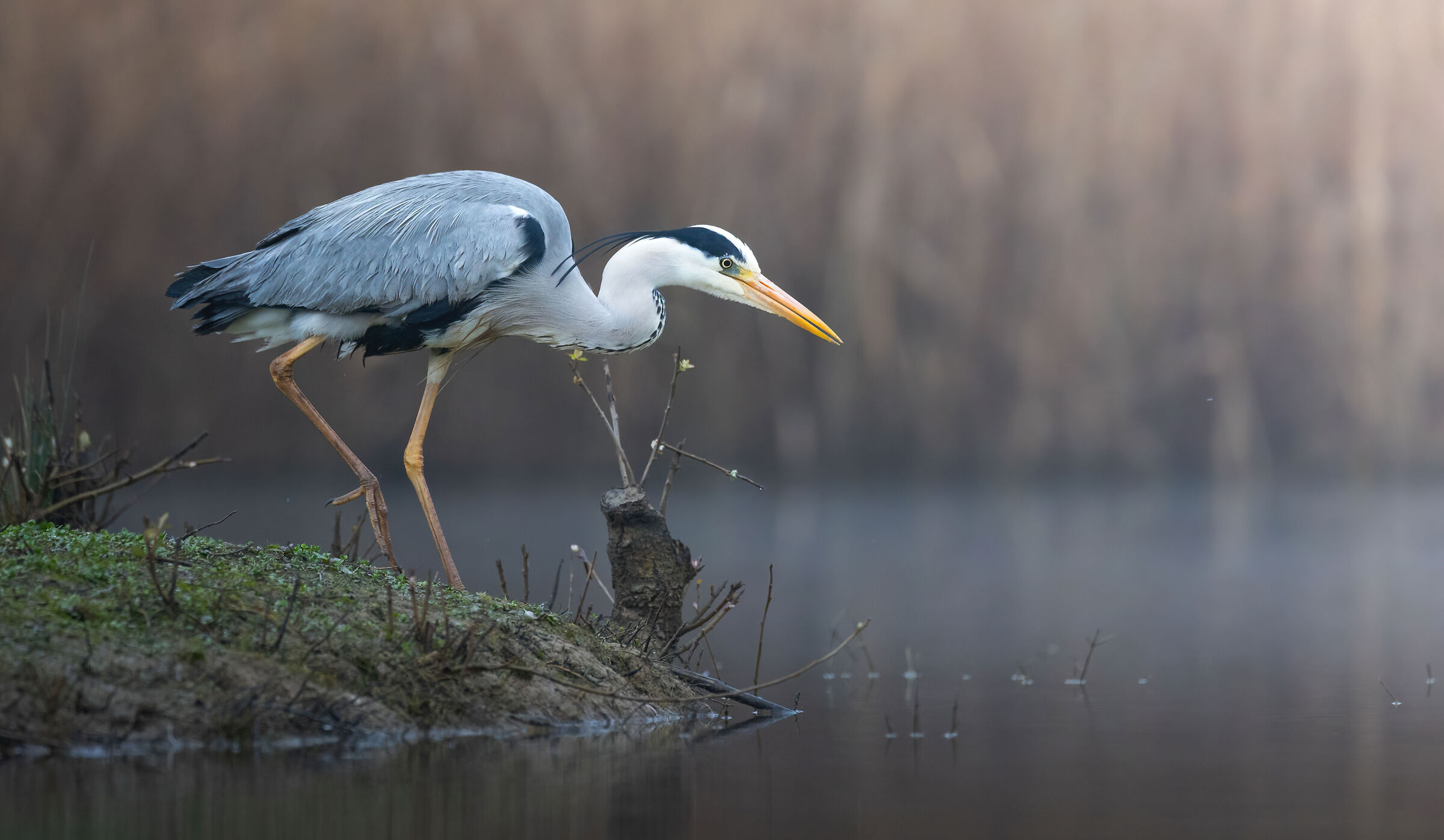 Fishing