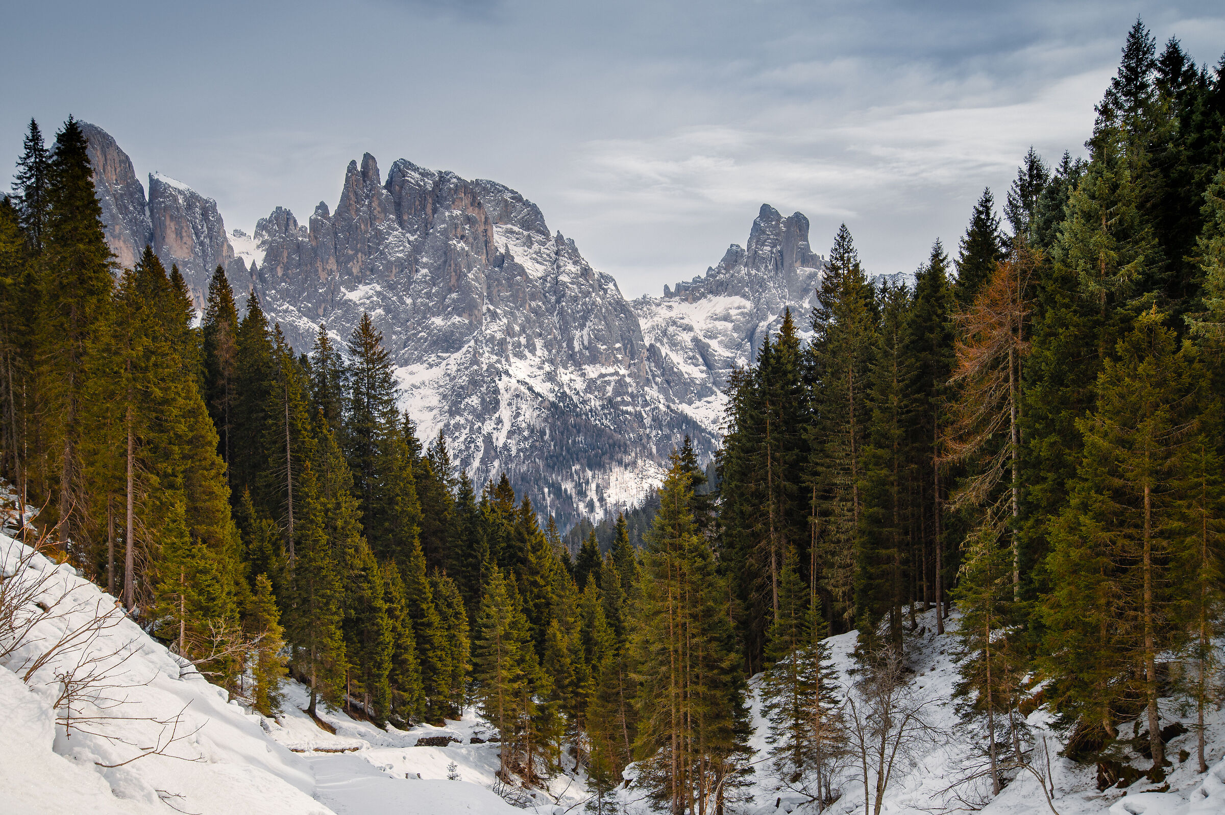 Dolomiti