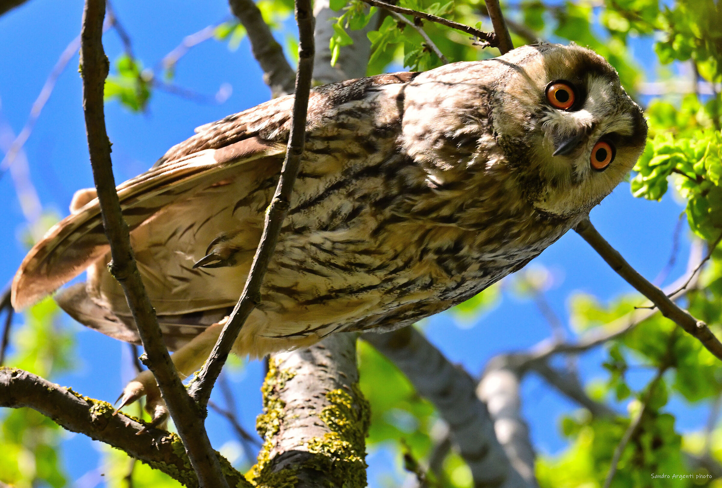 Una delle foto che più mi ha impegnato...