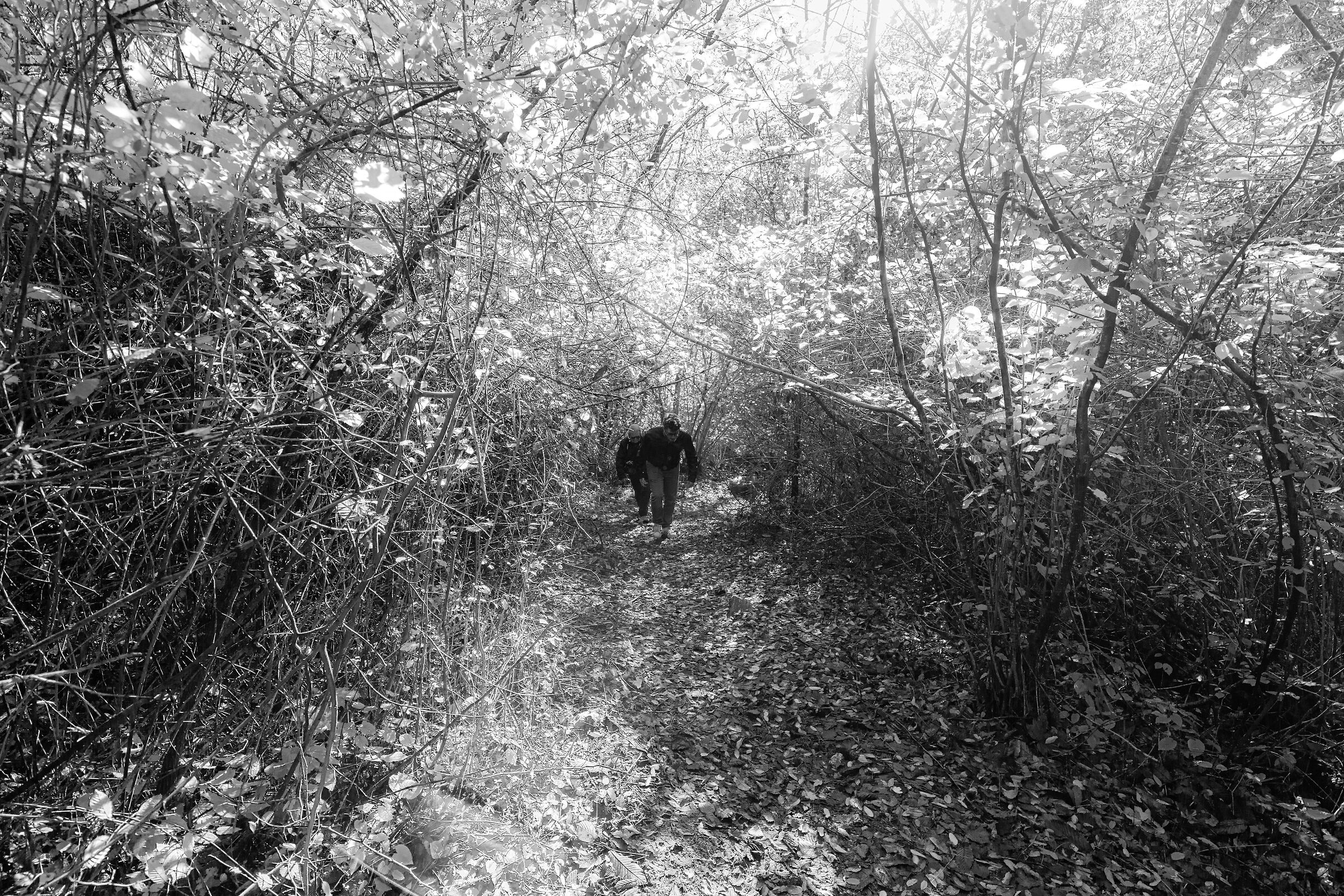 Verso le cascate gemelle di Faedis.