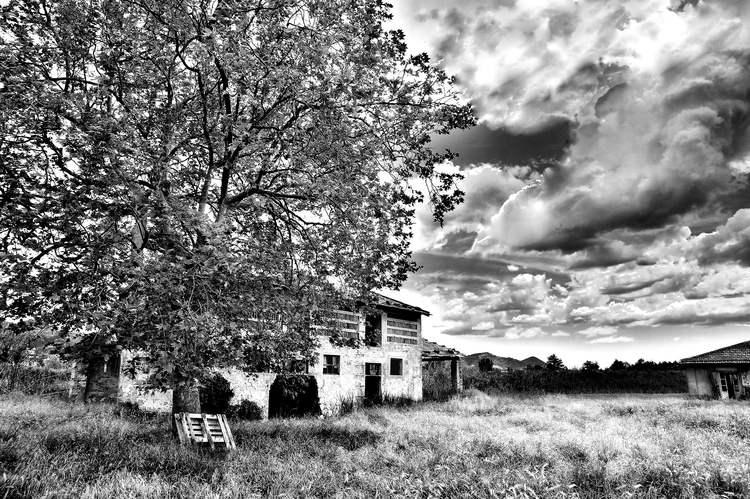 Abandonment