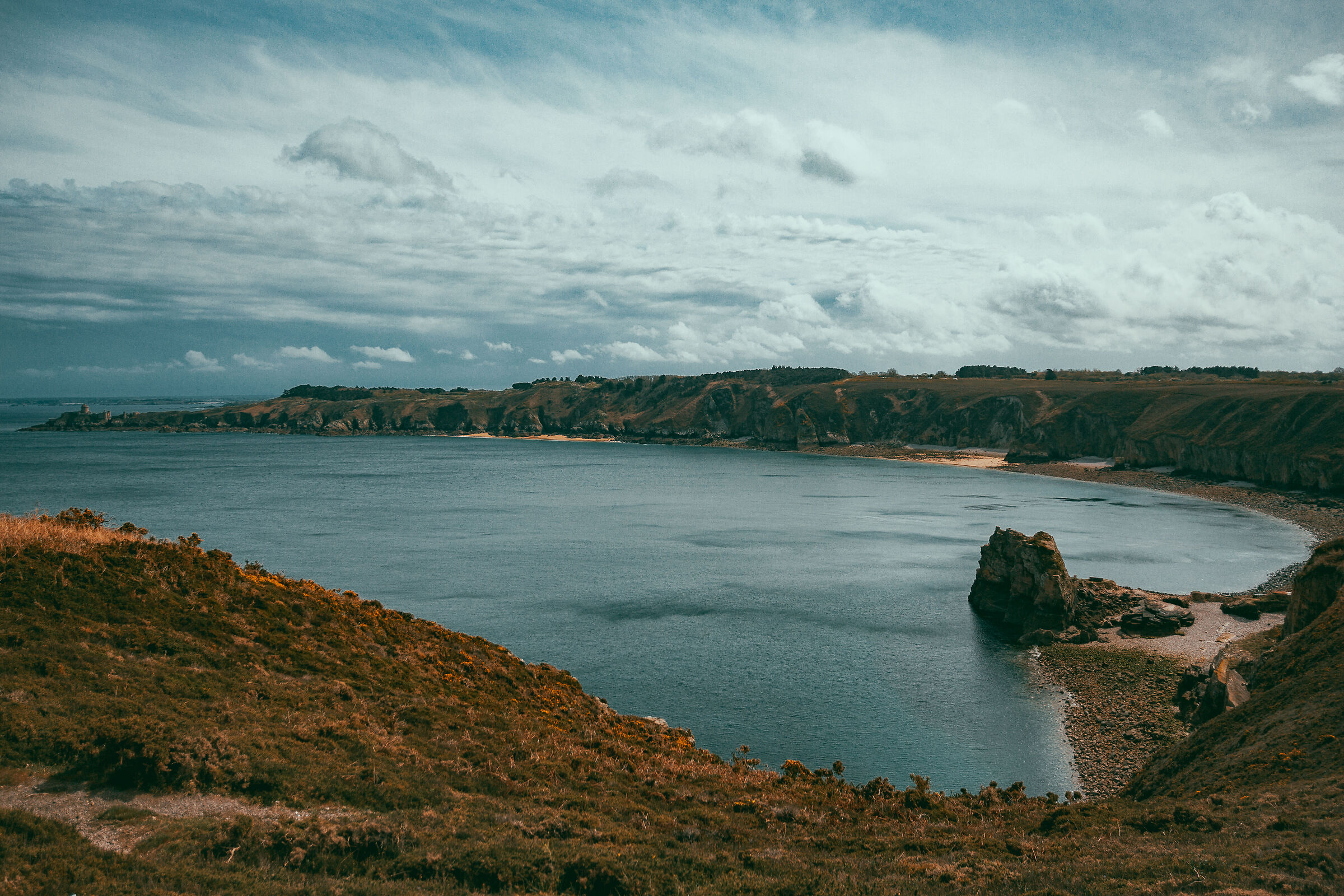 Untitled Photo