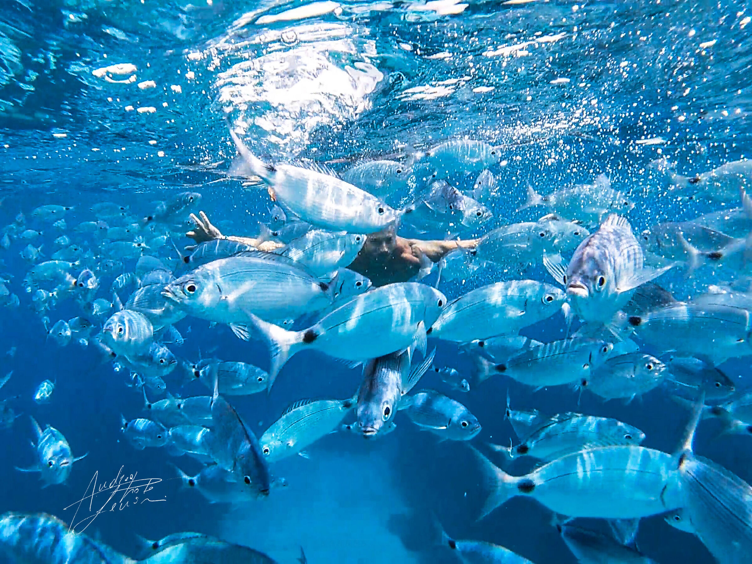 WATERS OF THE COAST OF BAUNEI