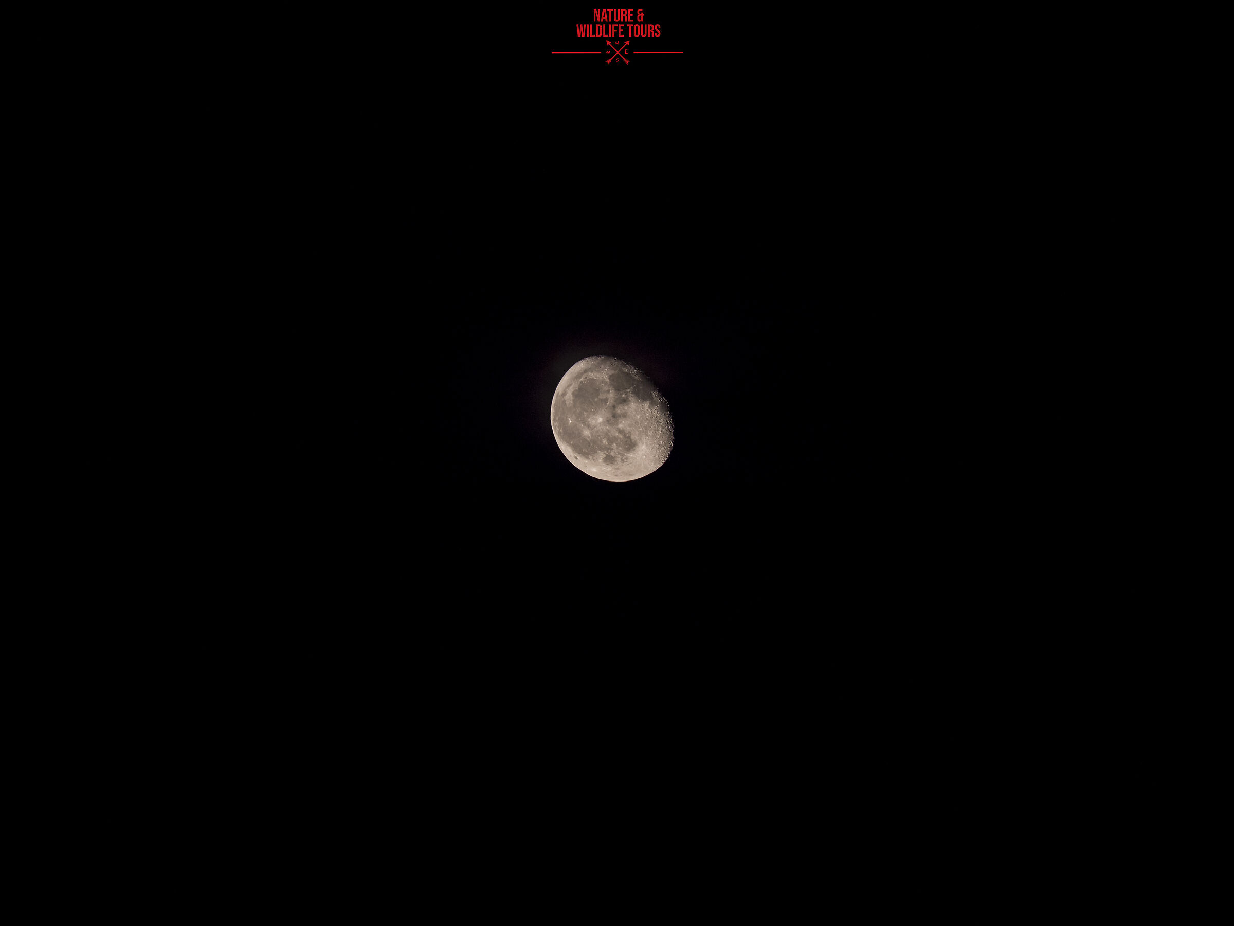 Luna 210mm