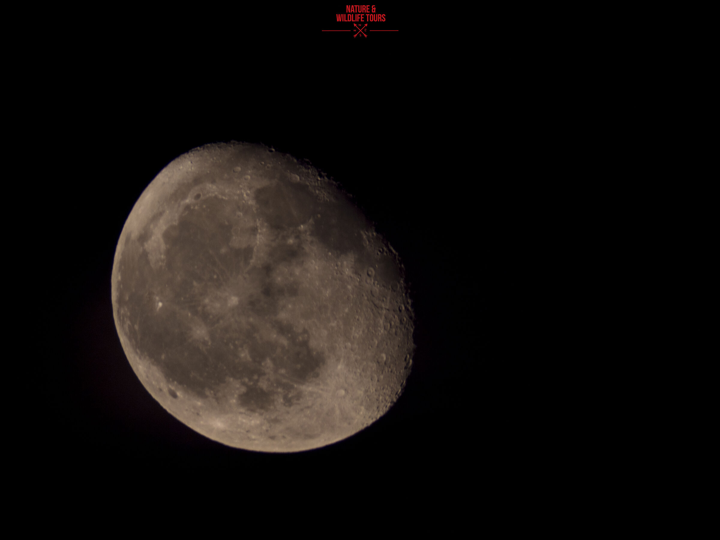 Luna 1300mm