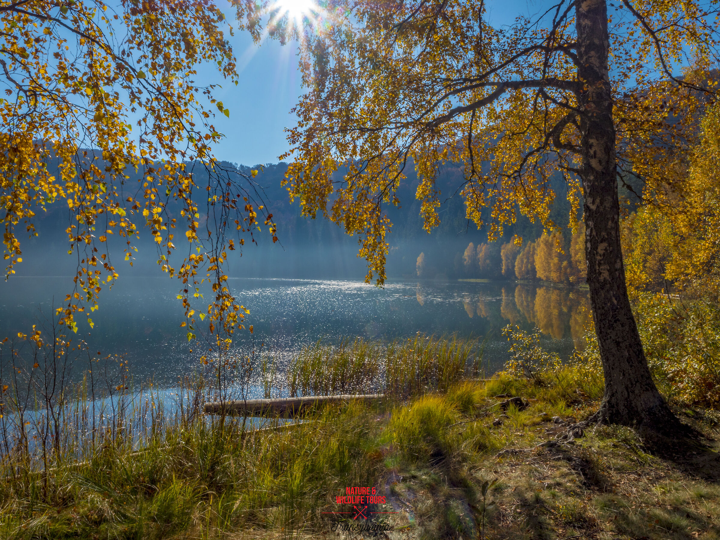 Sant'Anna incorniciata