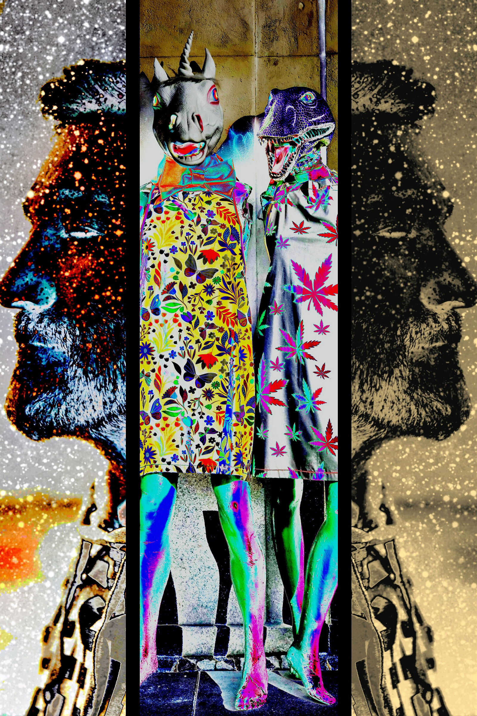 exploring the multiverses