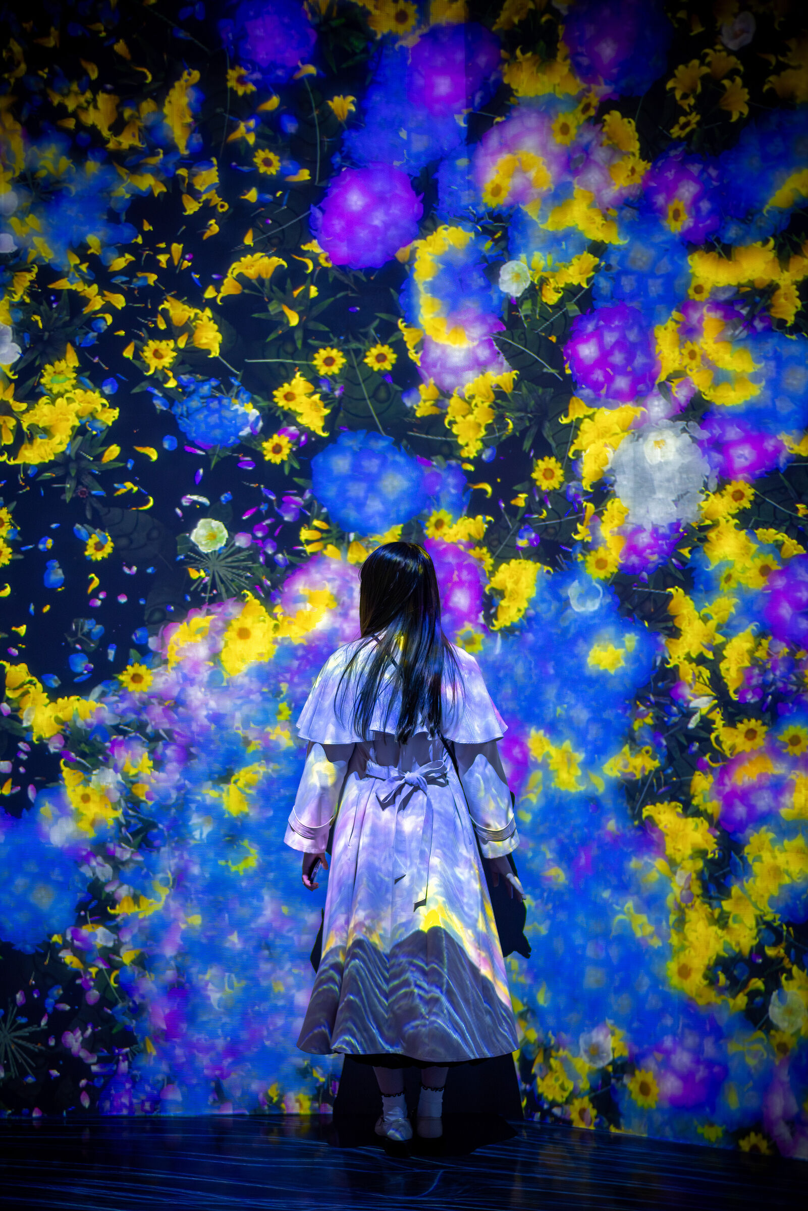 teamLab Bordeless (Tokyo)