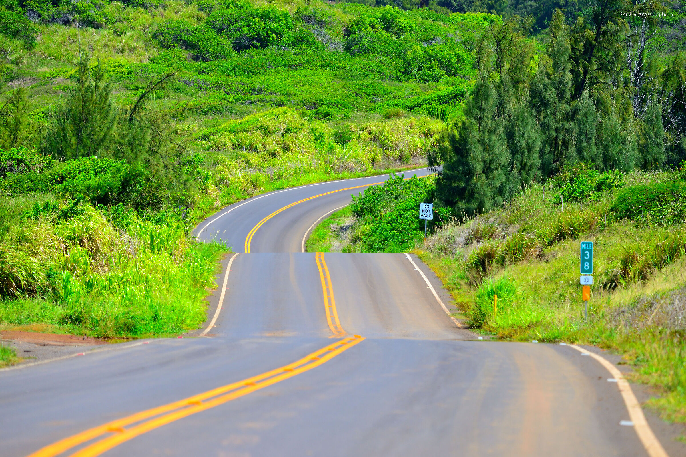 Particolare prospettiva di una strada. Hawaii.