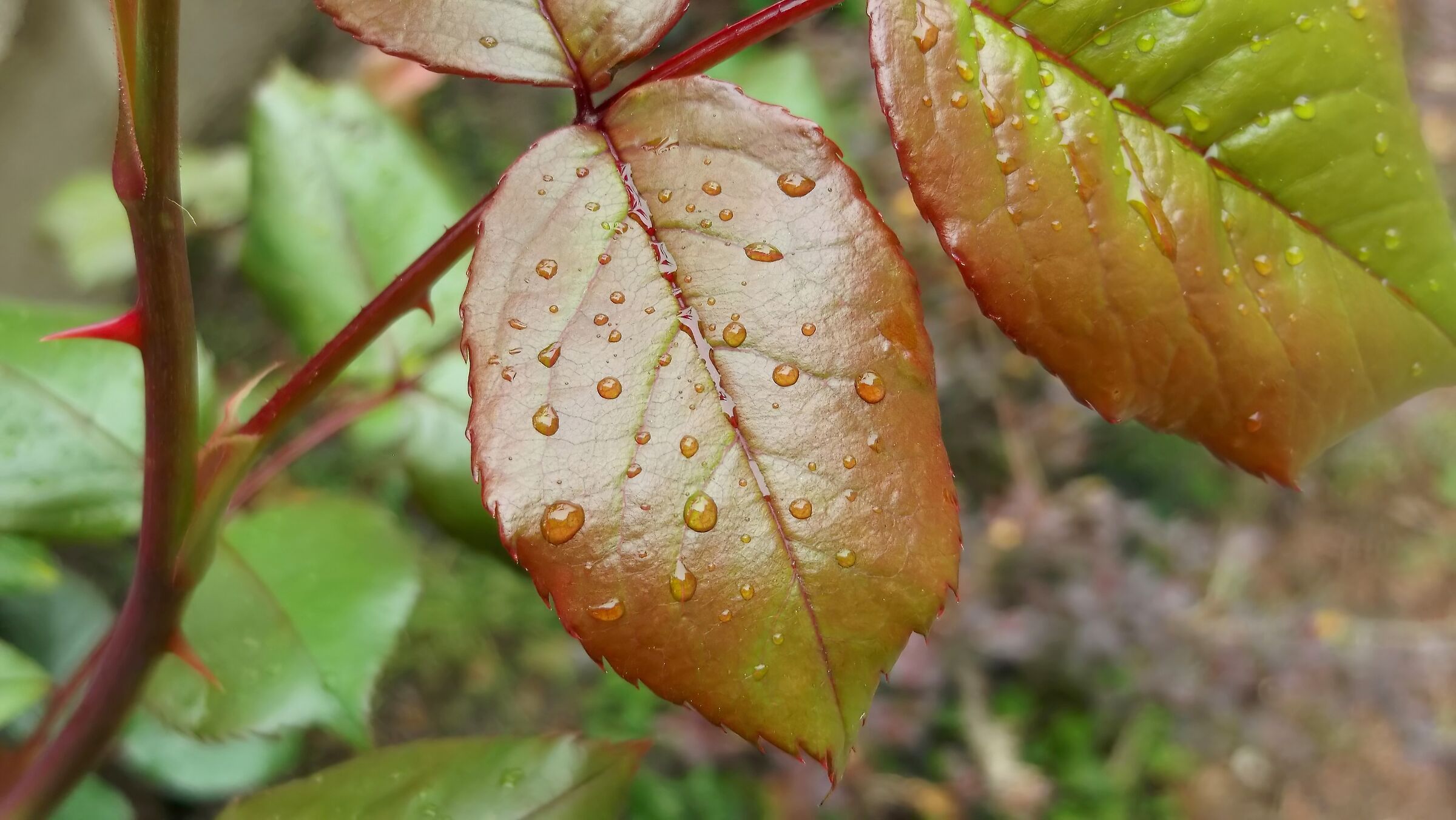 ... And finally it stopped raining