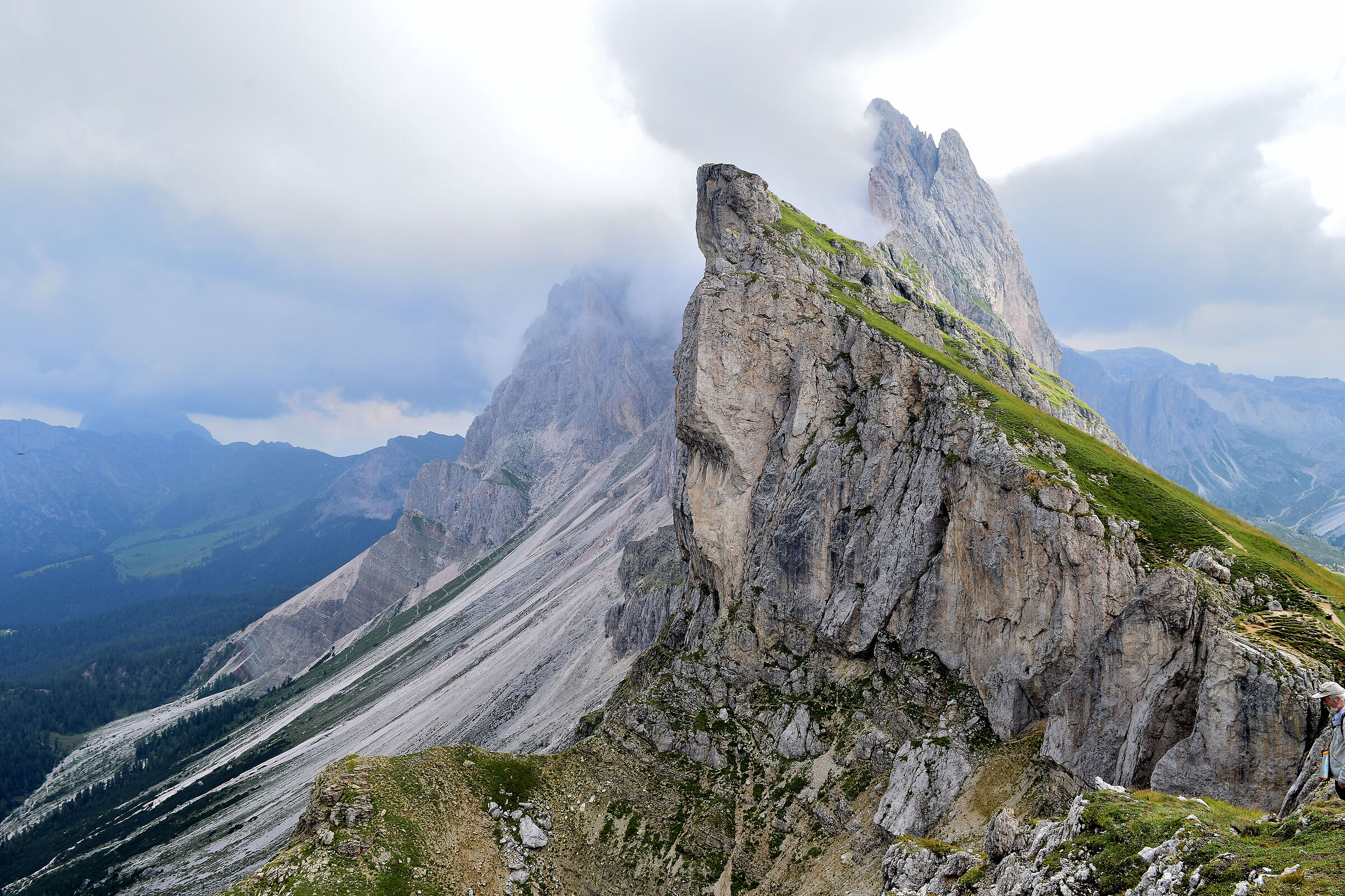 Particolare del Seceda