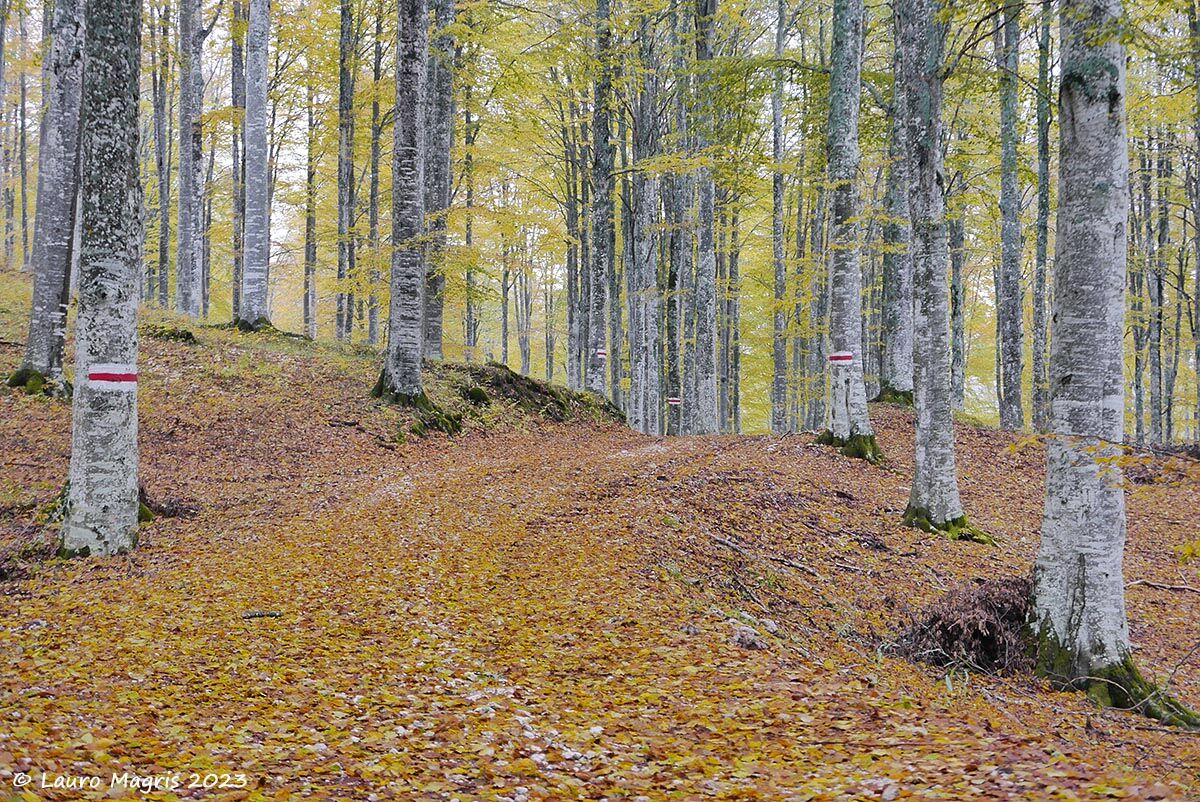 In religious silence