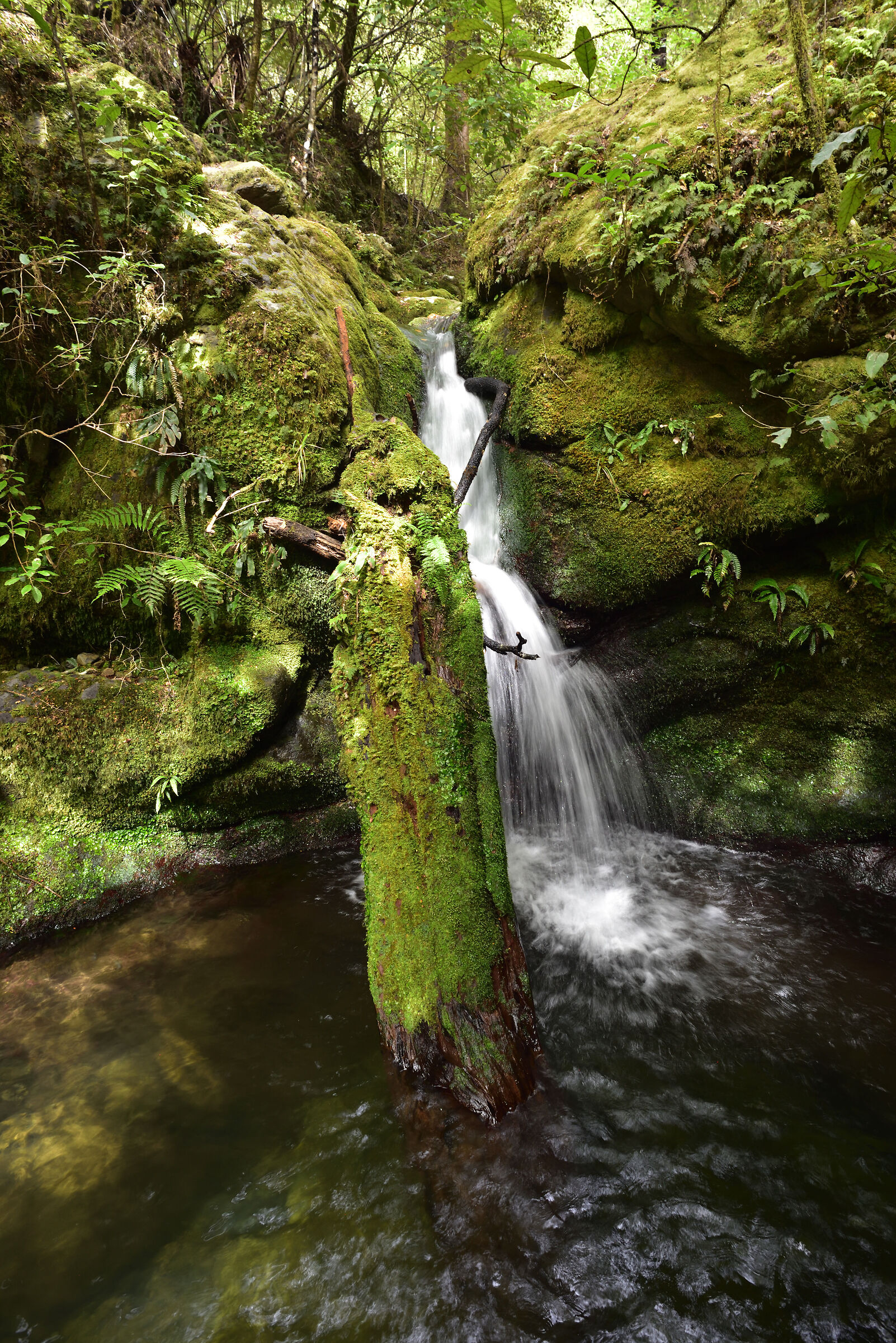 Elvy Waterfall