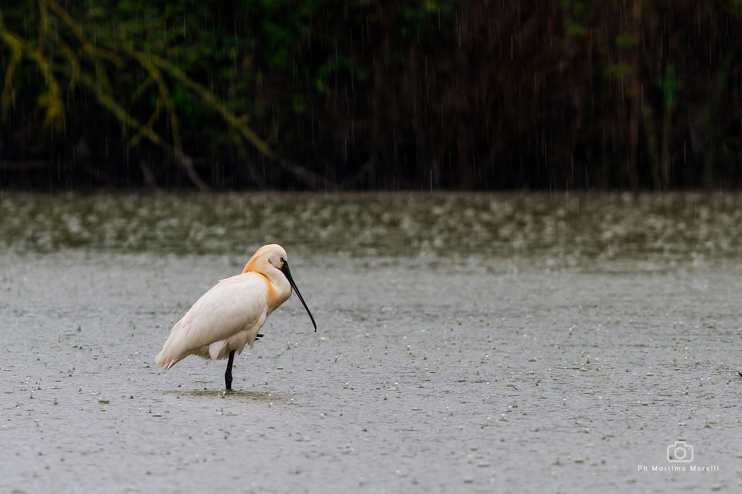 It's raining, but I don't move