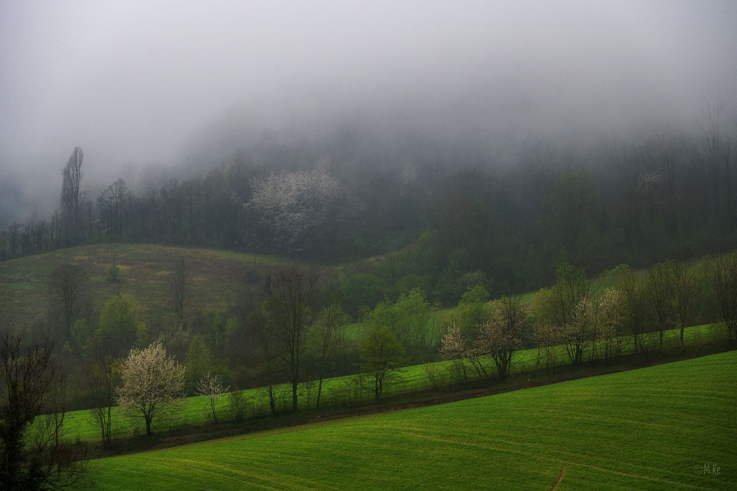 Fog on the hill