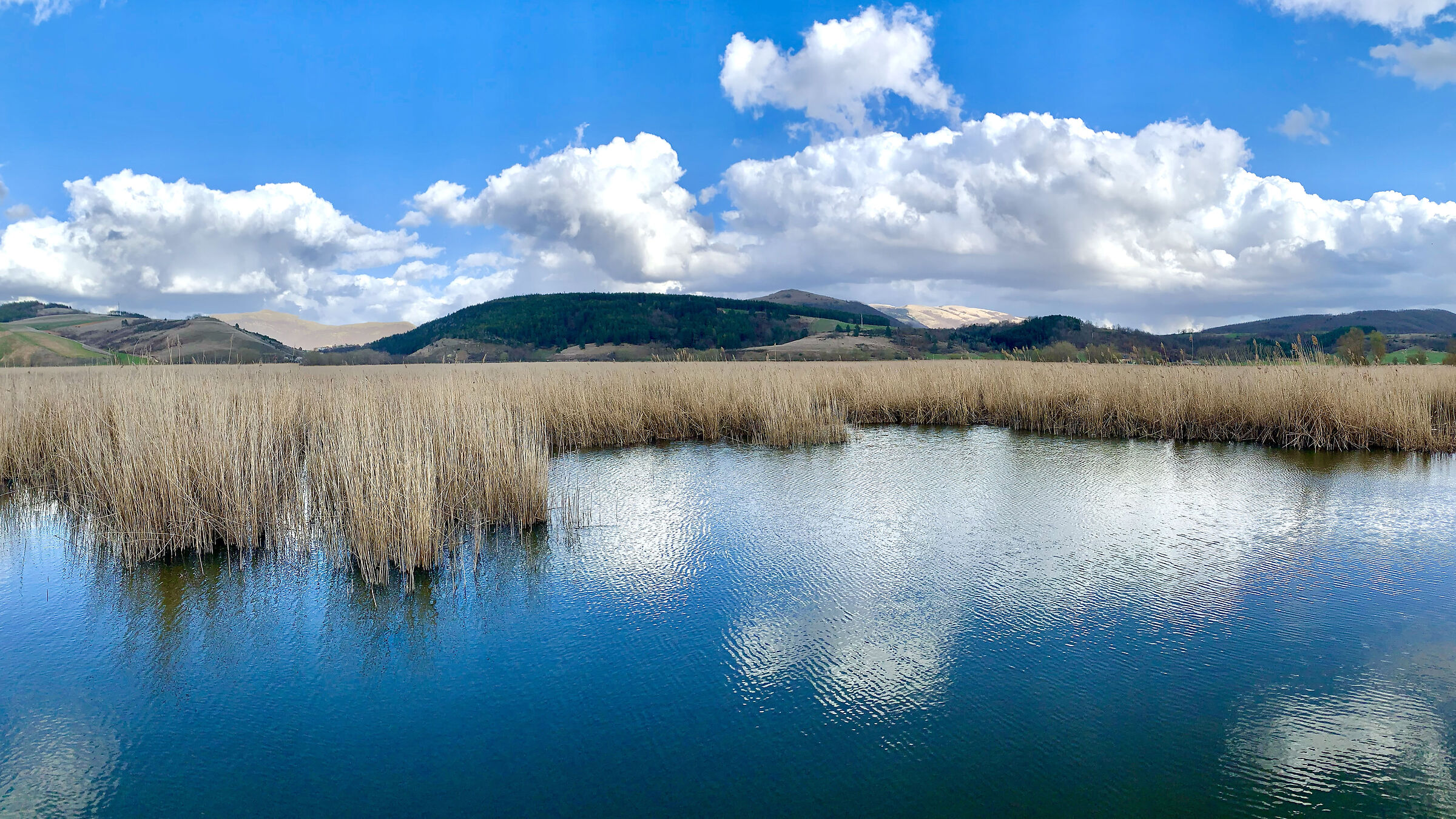 La palude di Colfiorito
