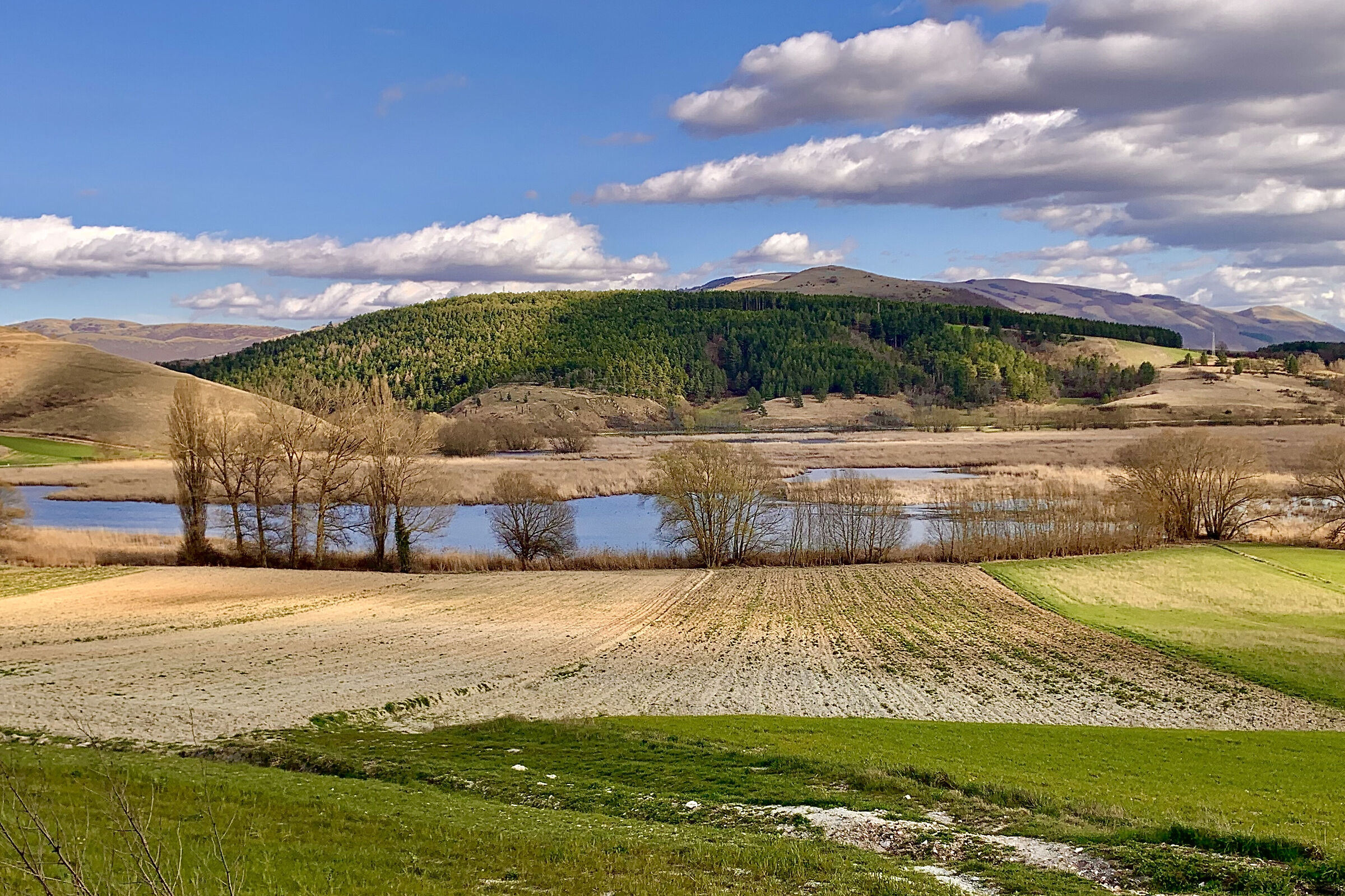 La palude di Colfiorito