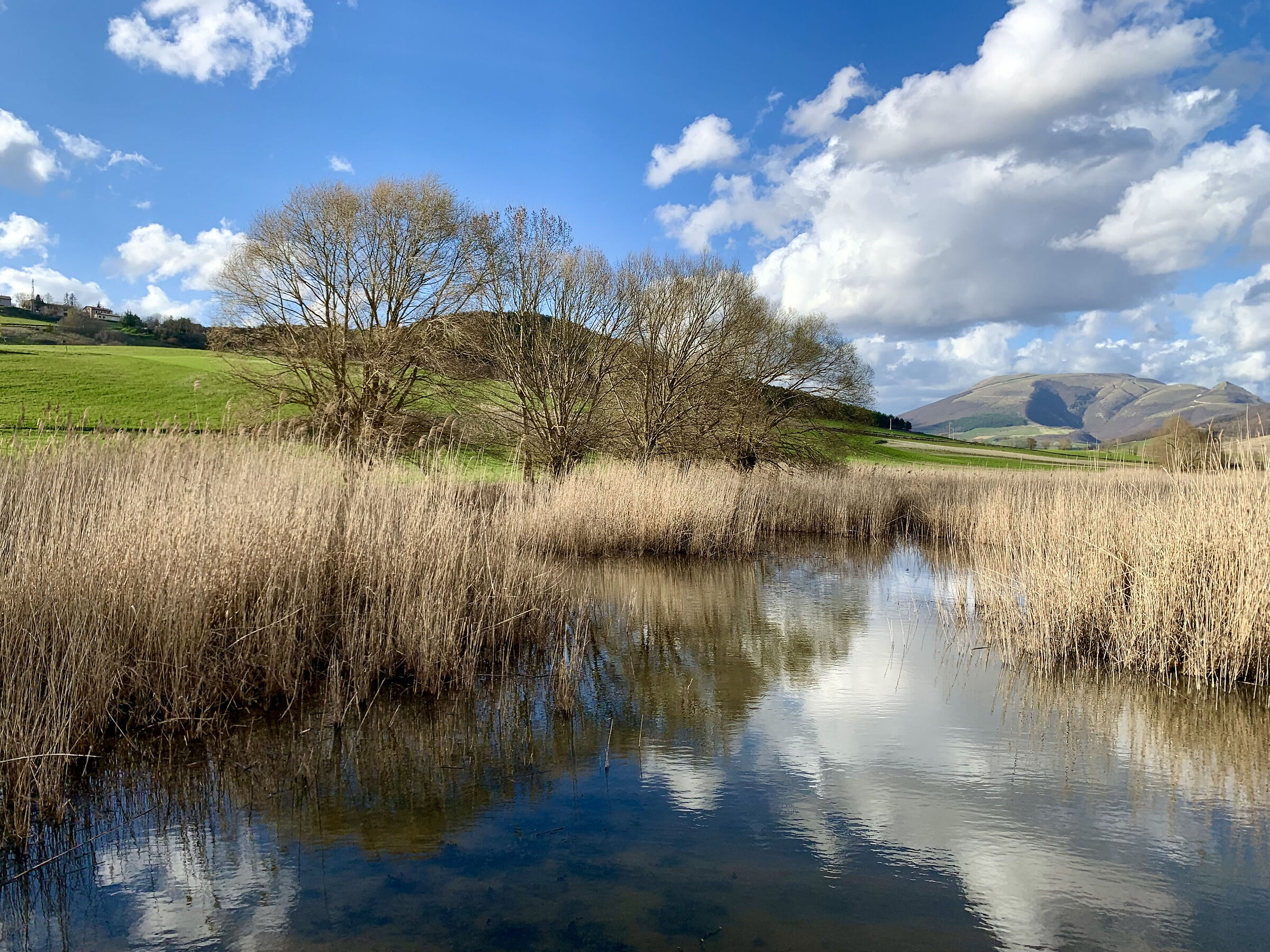 La palude di Colfiorito