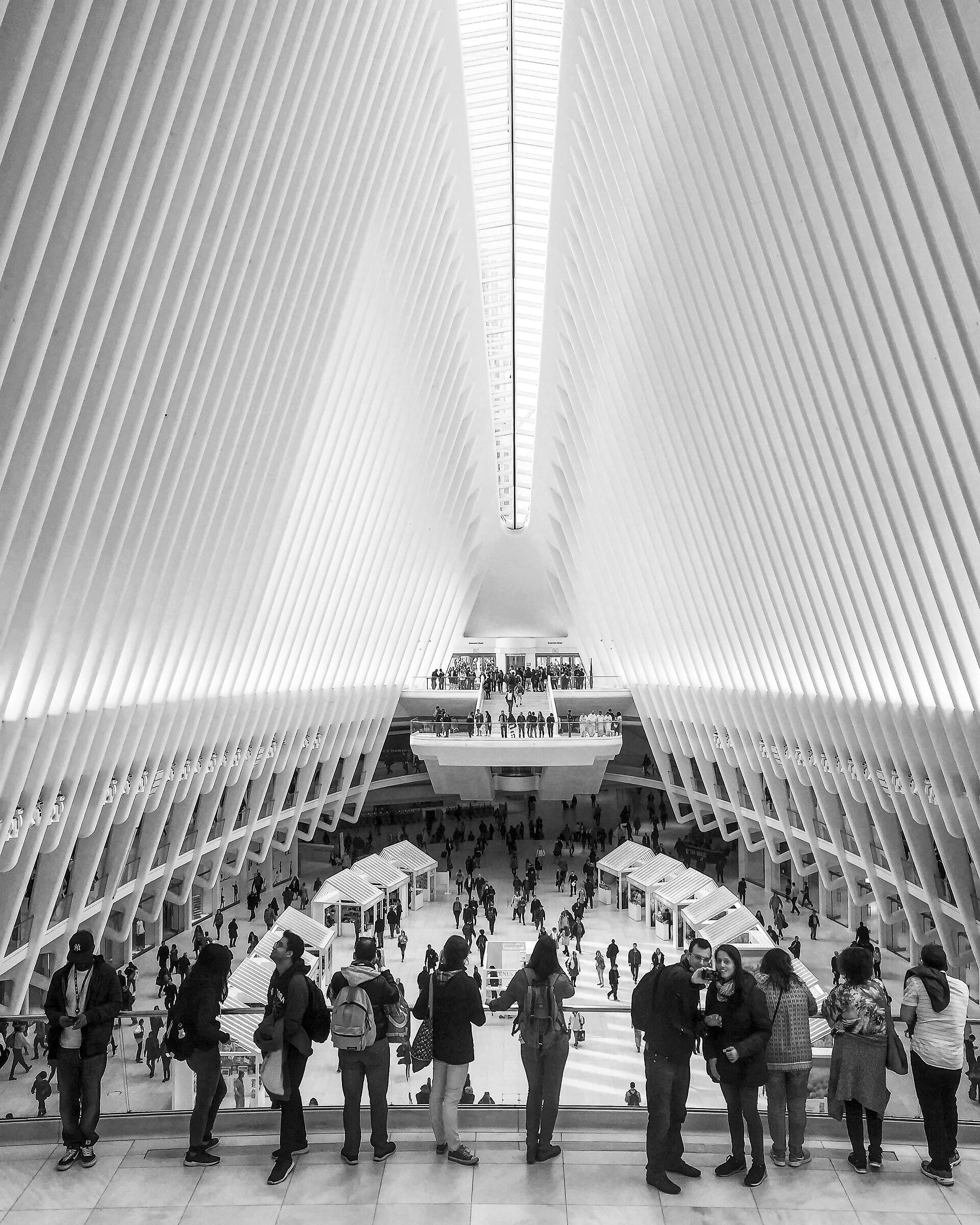 Calatrava