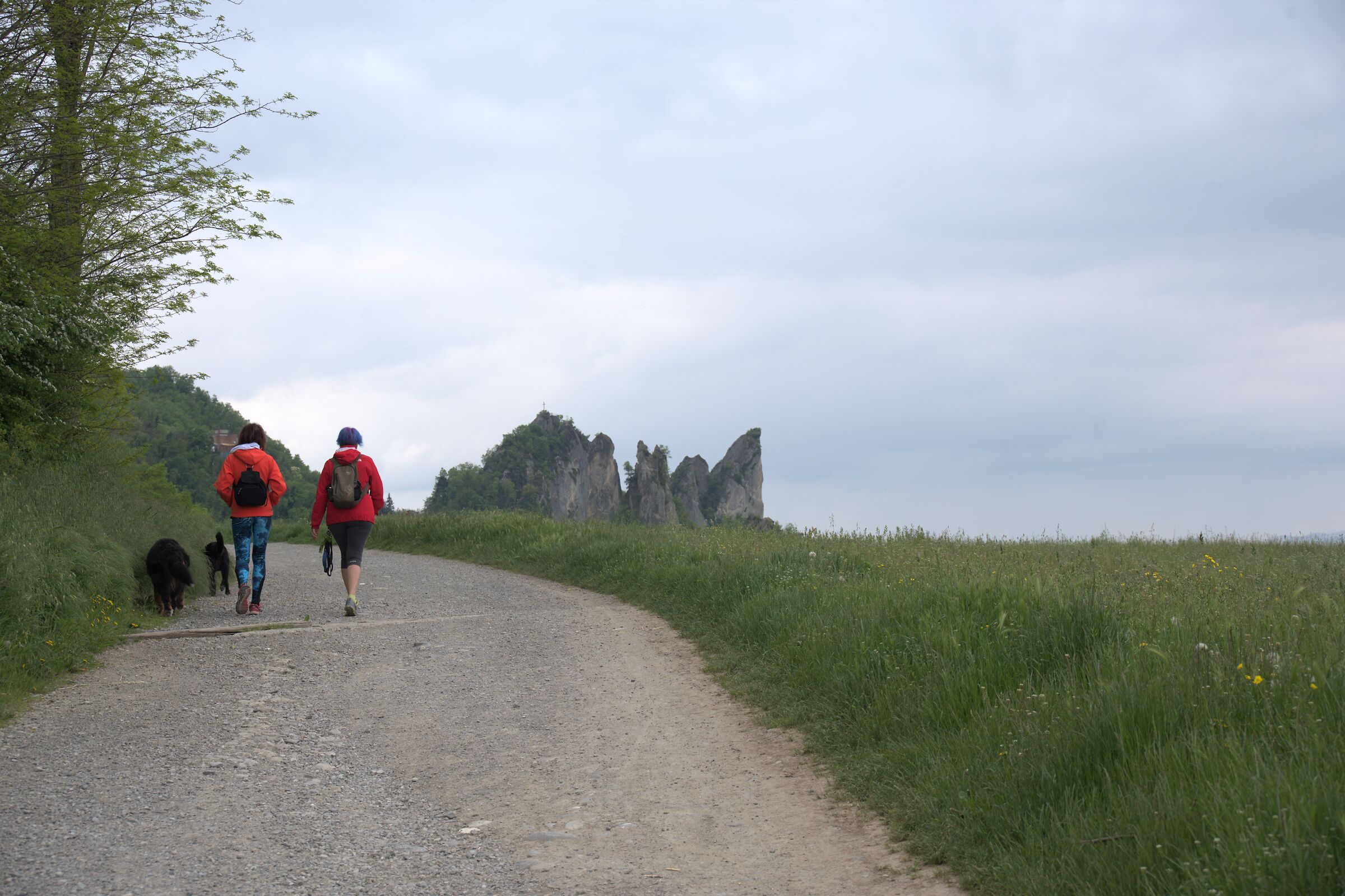 Passeggiata verso i sassi di Roccamalatina