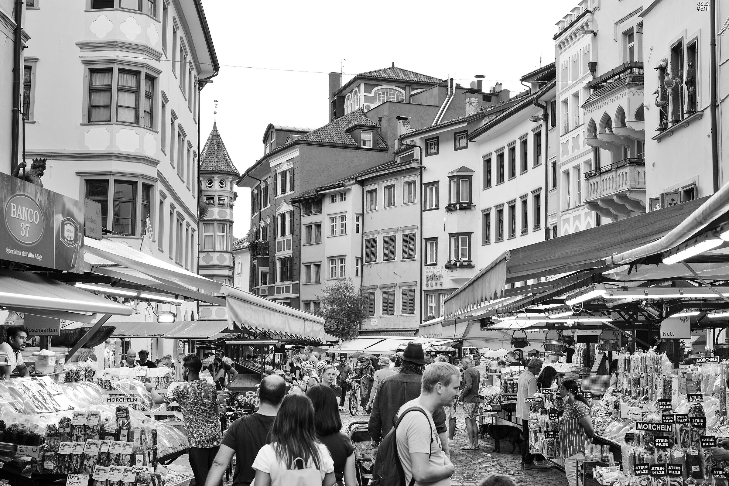 Bozen B&W