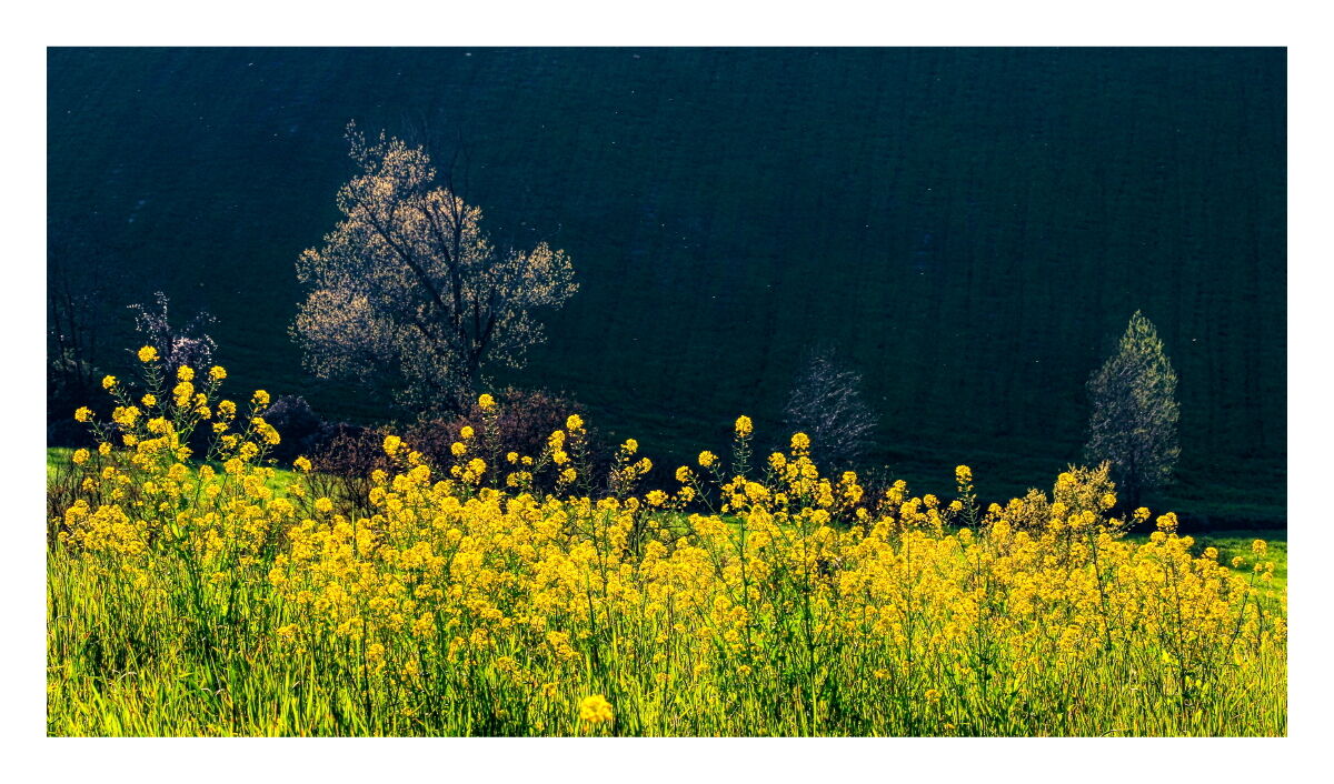 Spring 2024 in my area