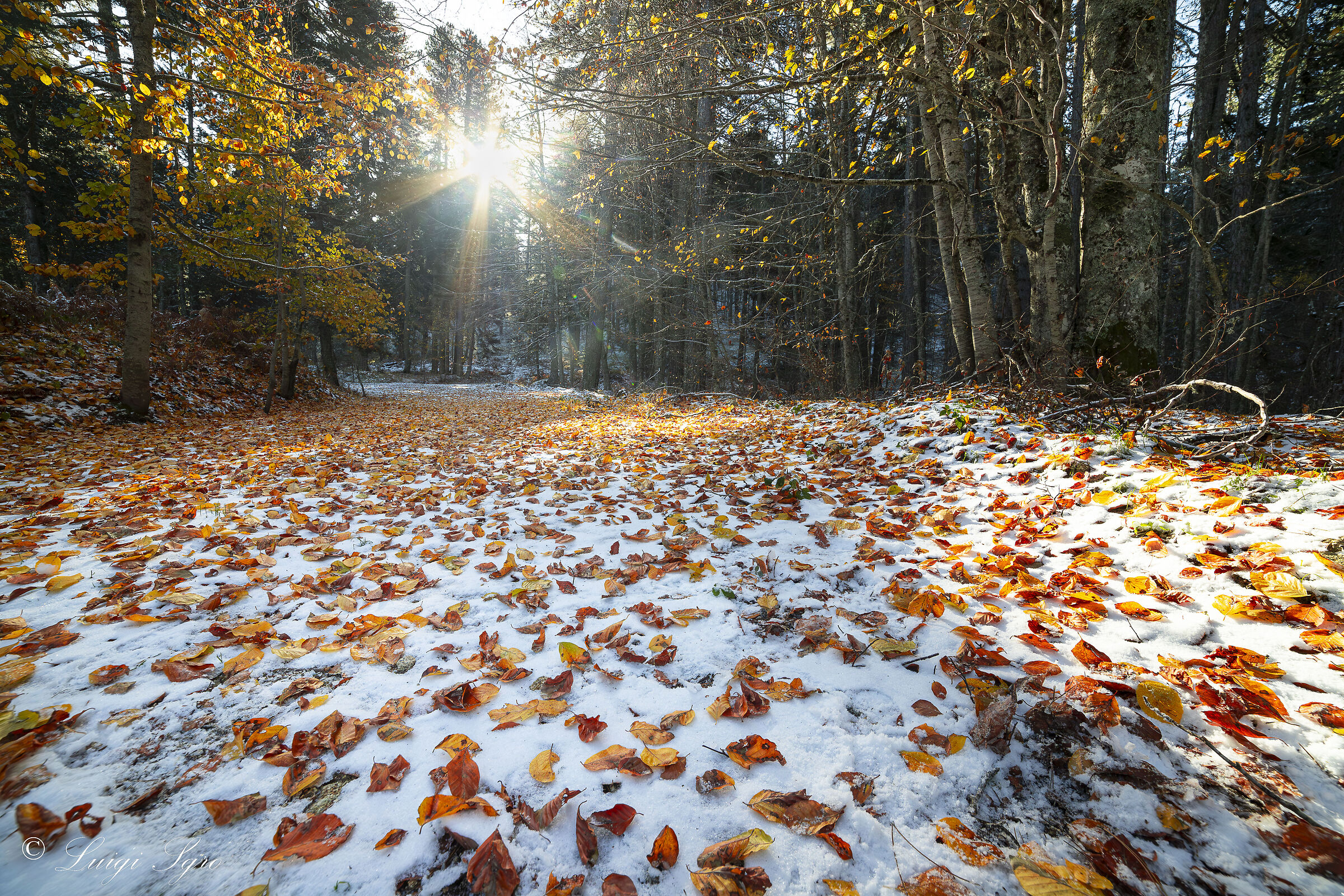 Autunno con la Neve
