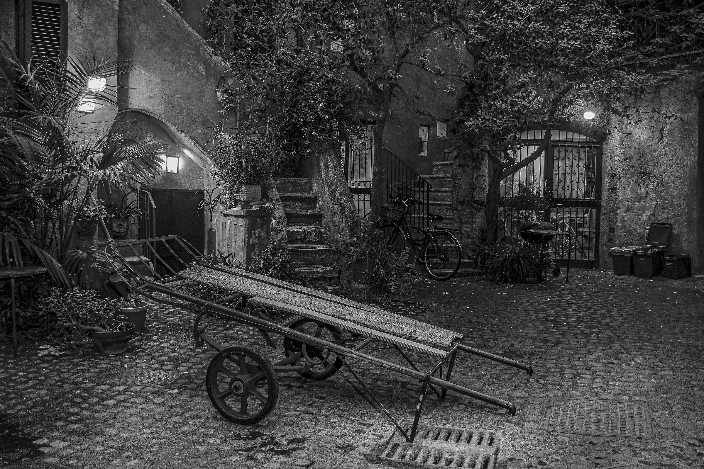 Yard...