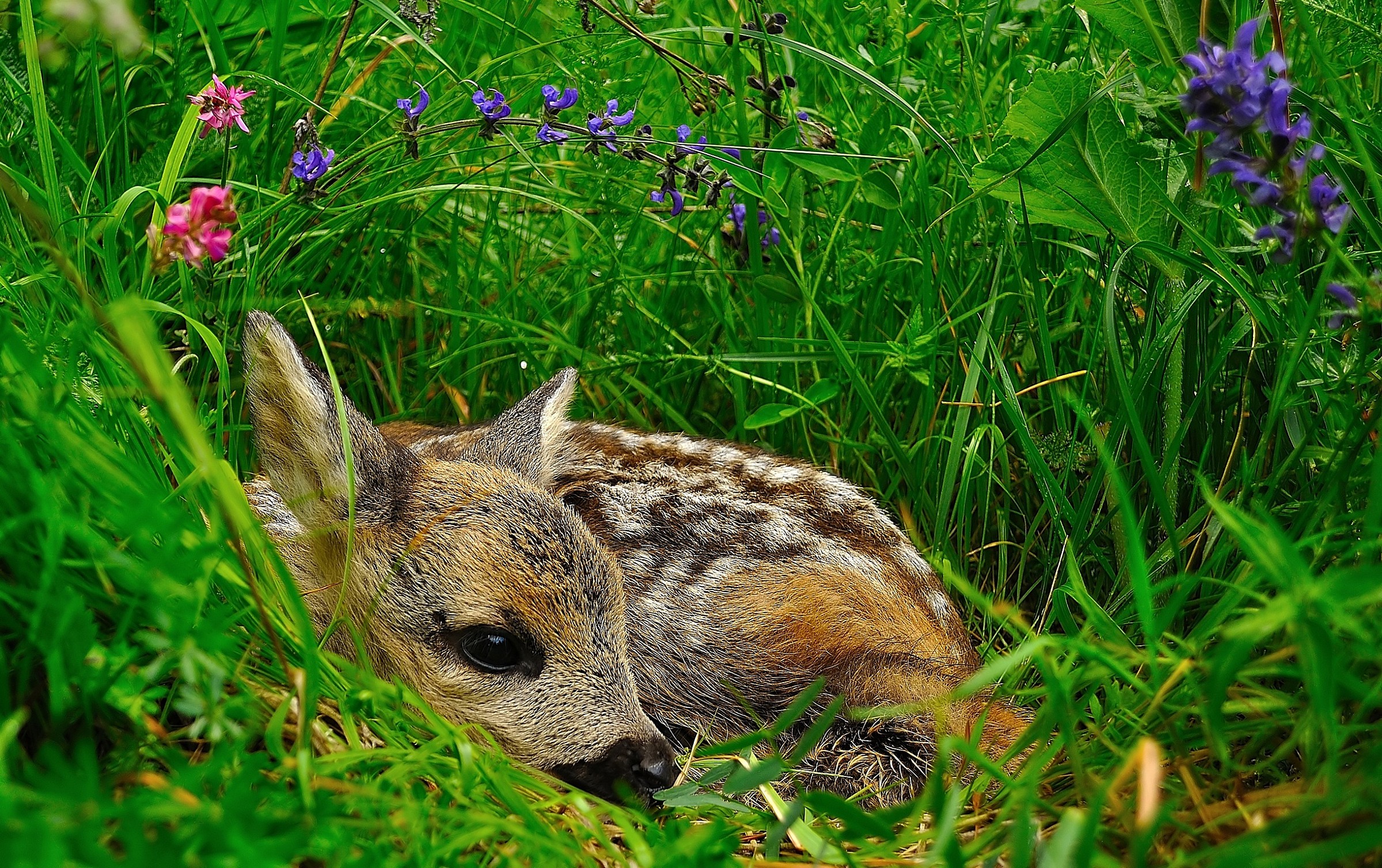 Time of small (never touch)